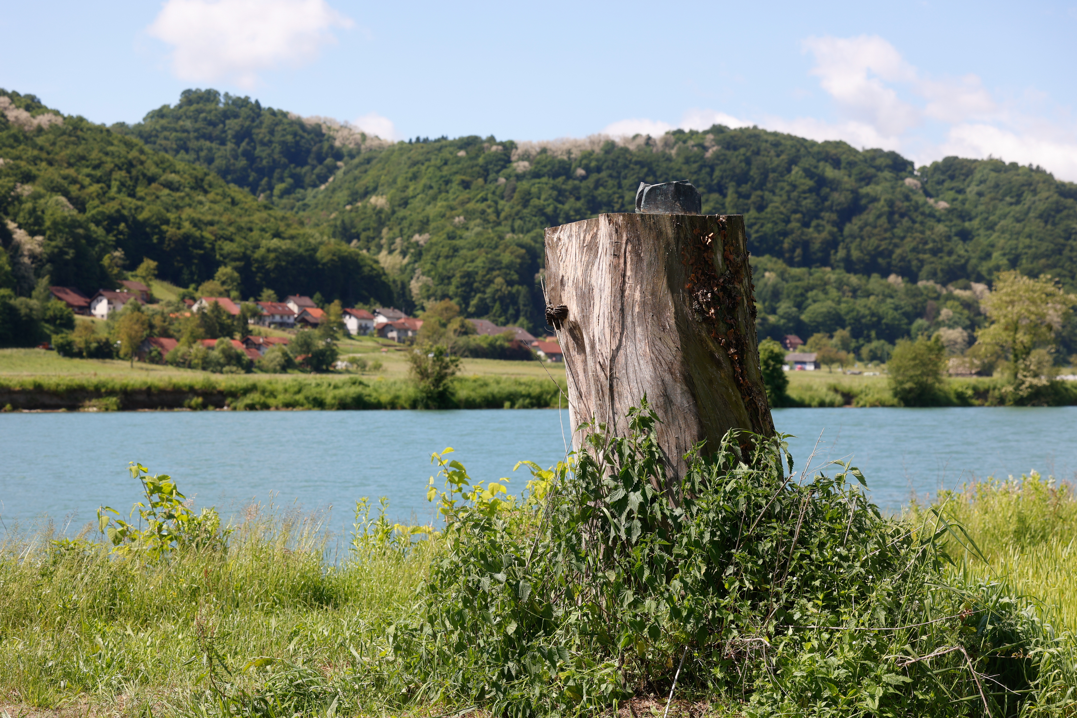 kip melania trump sevnica (6).jpg