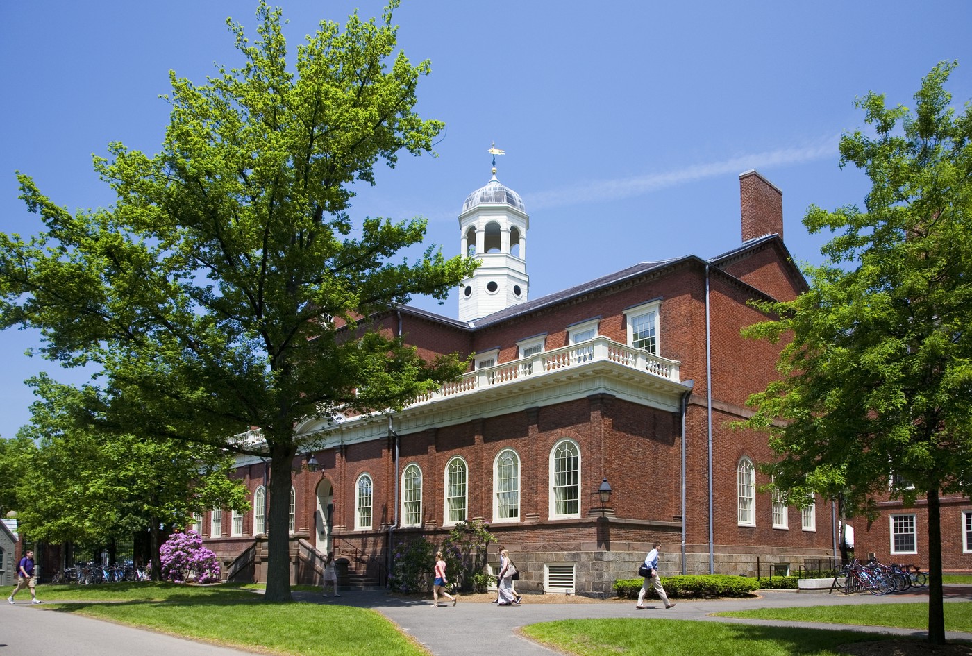 Univerza Harvard