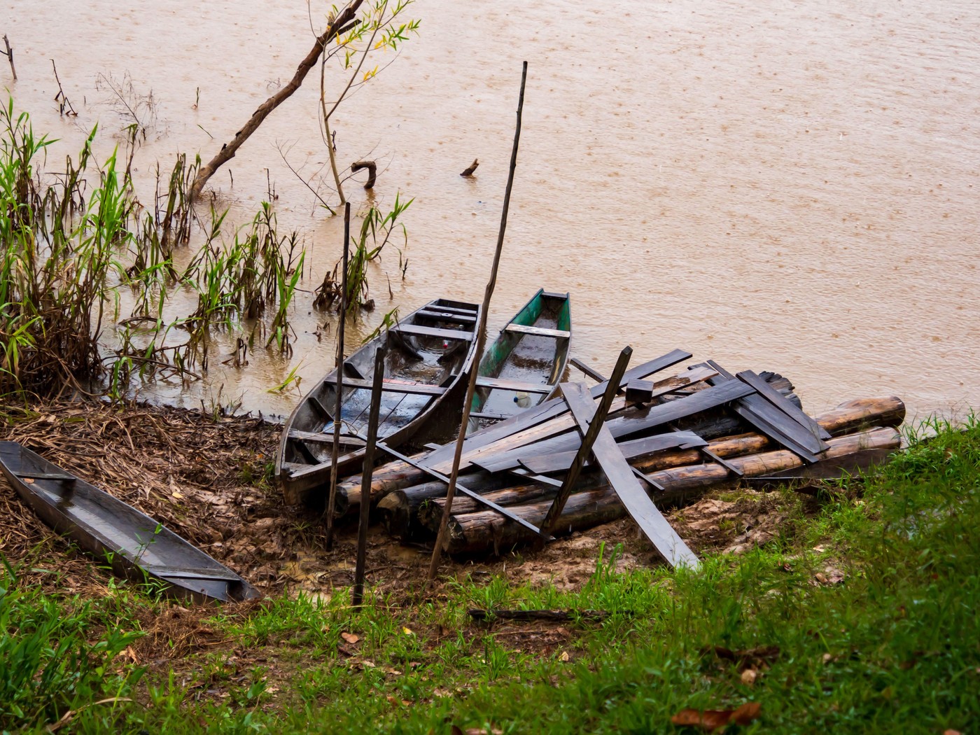 Amazonija, dolina Javari