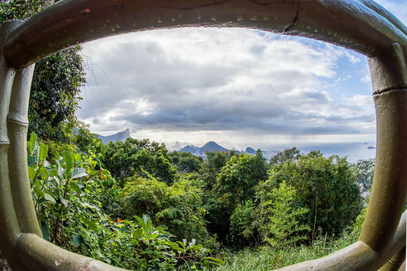 Tropski gozd v Braziliji