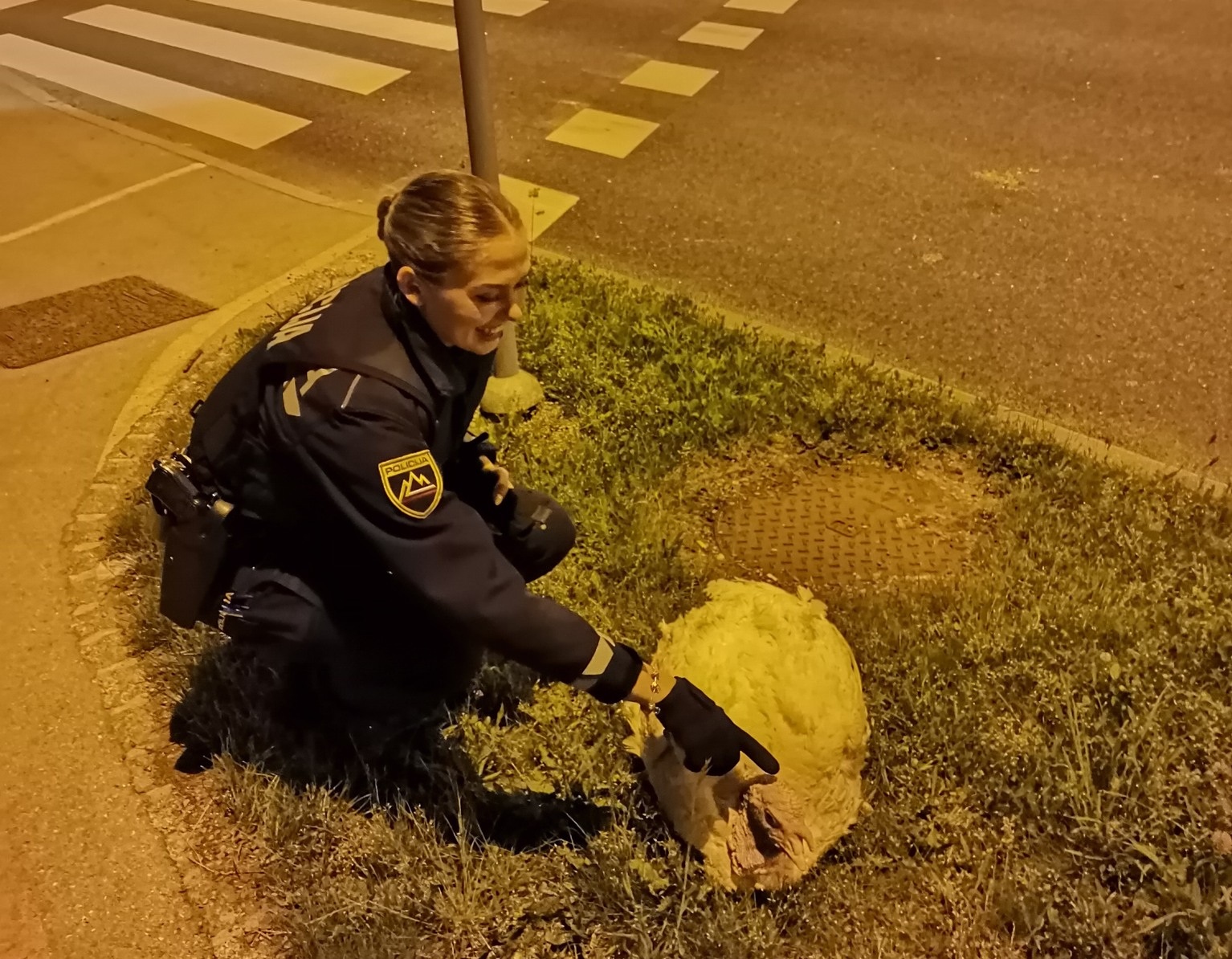 Policisti PU Ljubljana rešili purana