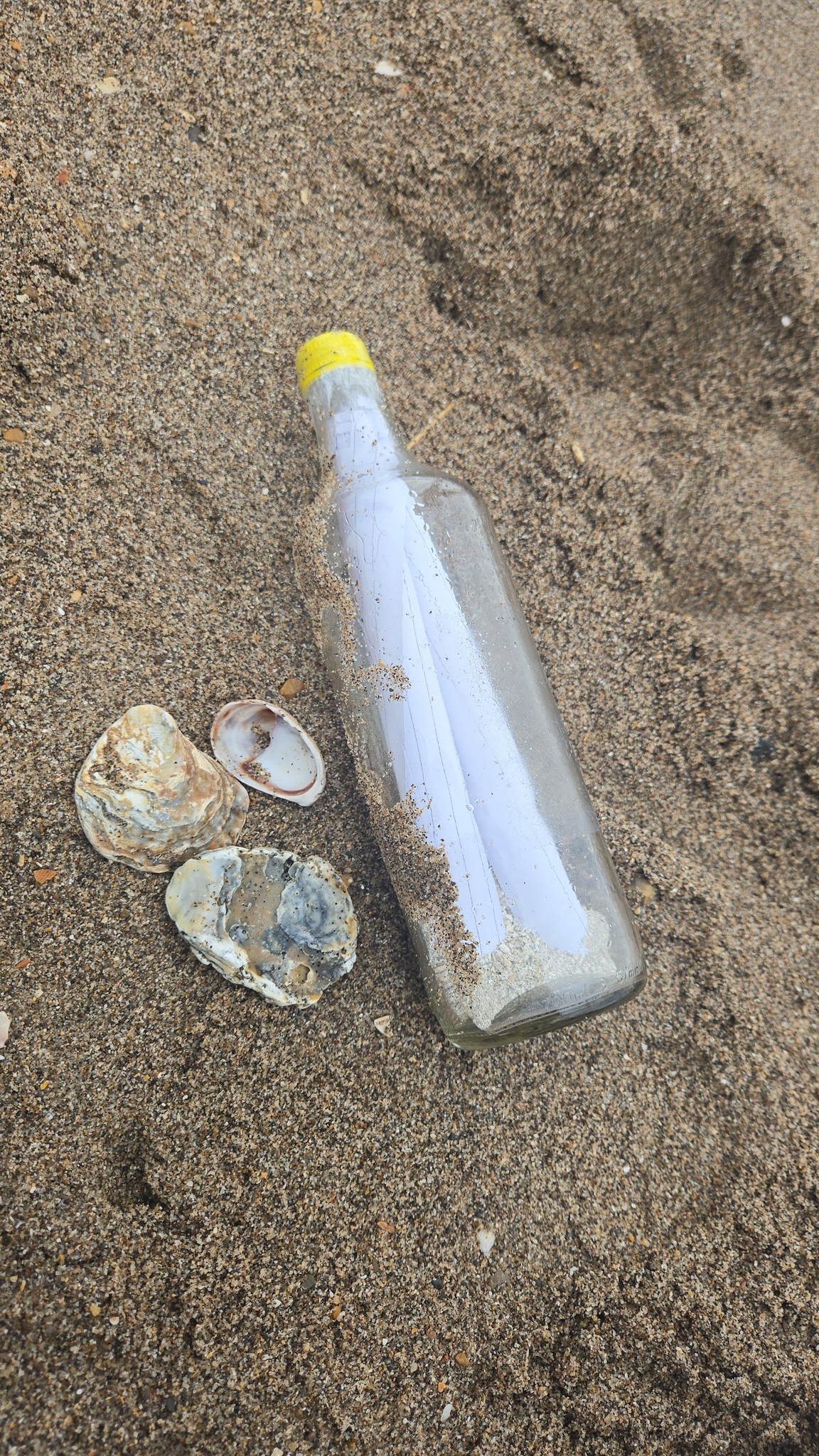 Sporočilo v steklenici