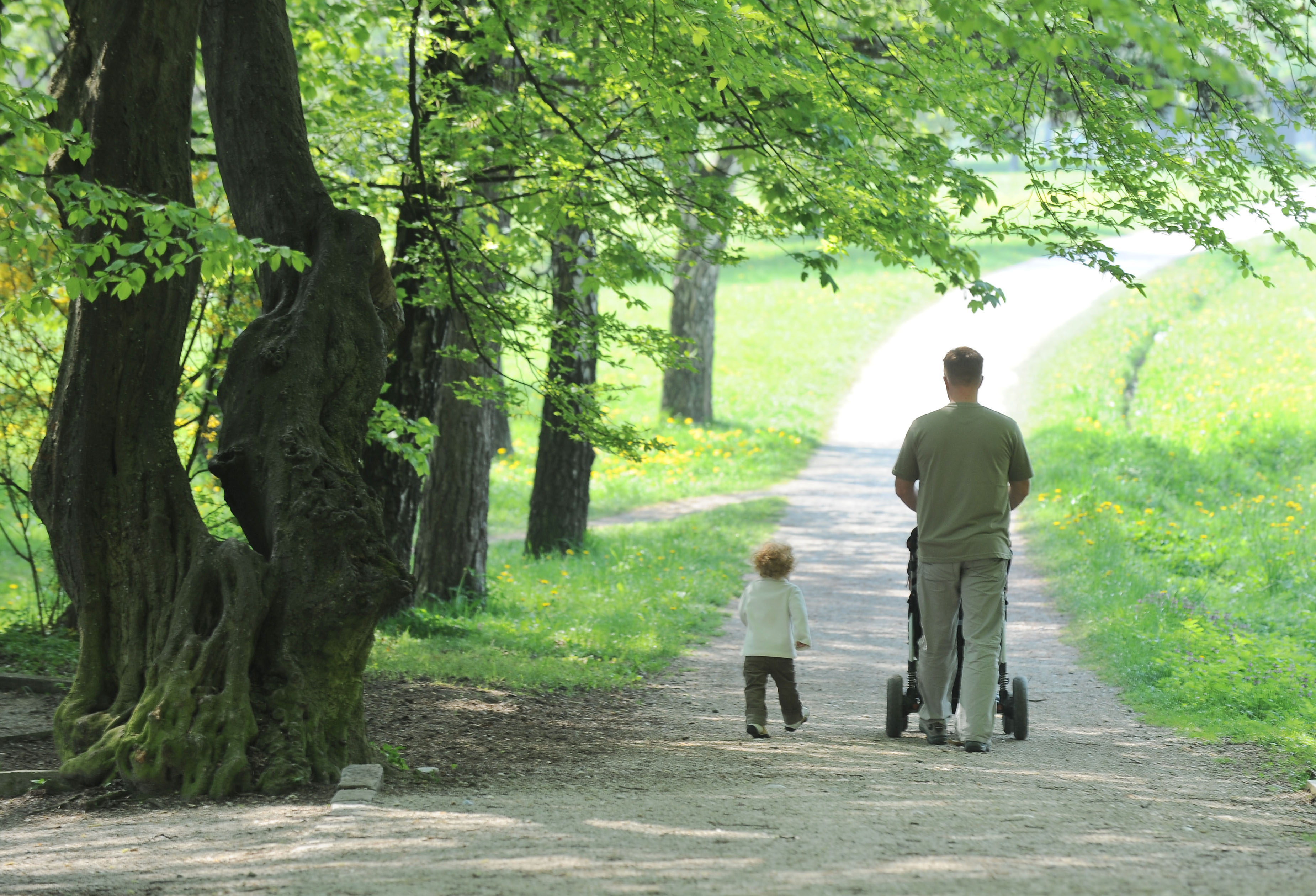 Oče se po parku sprehaja z vozičkom in otokom.