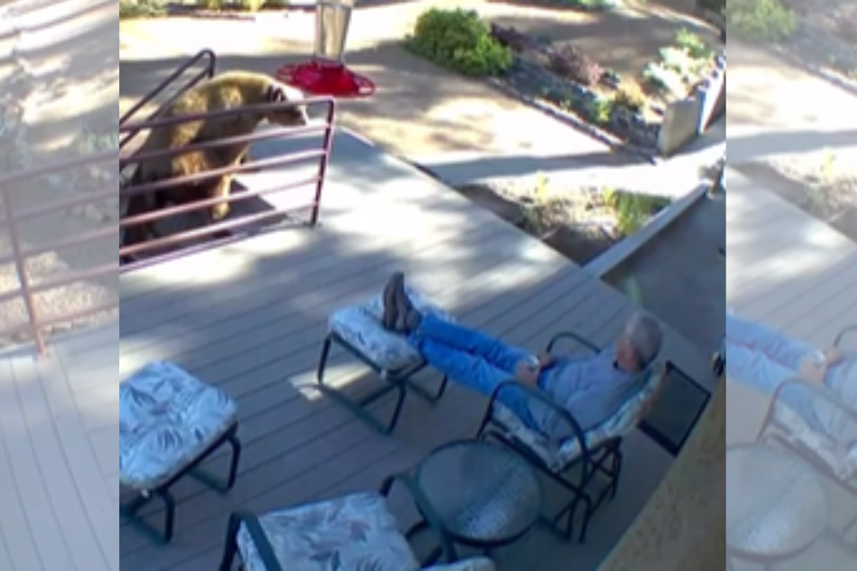 Izdelek brez naslova