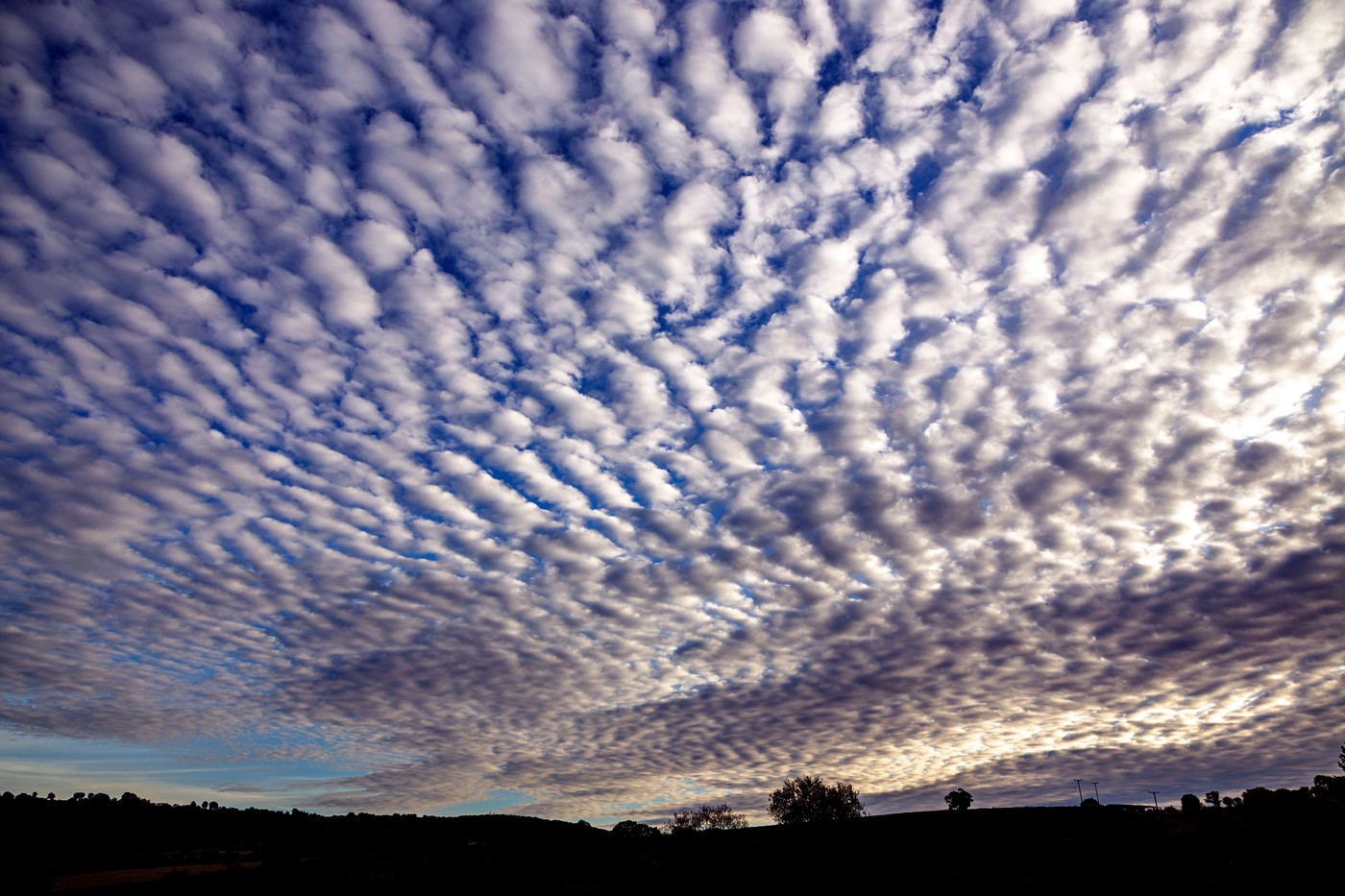 Cirokumulusni oblaki
