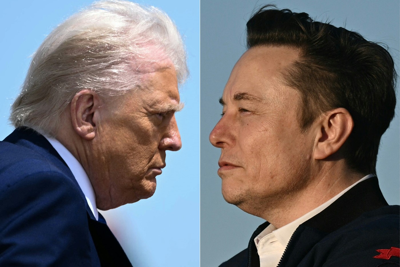 Donald Trump, Elon Musk