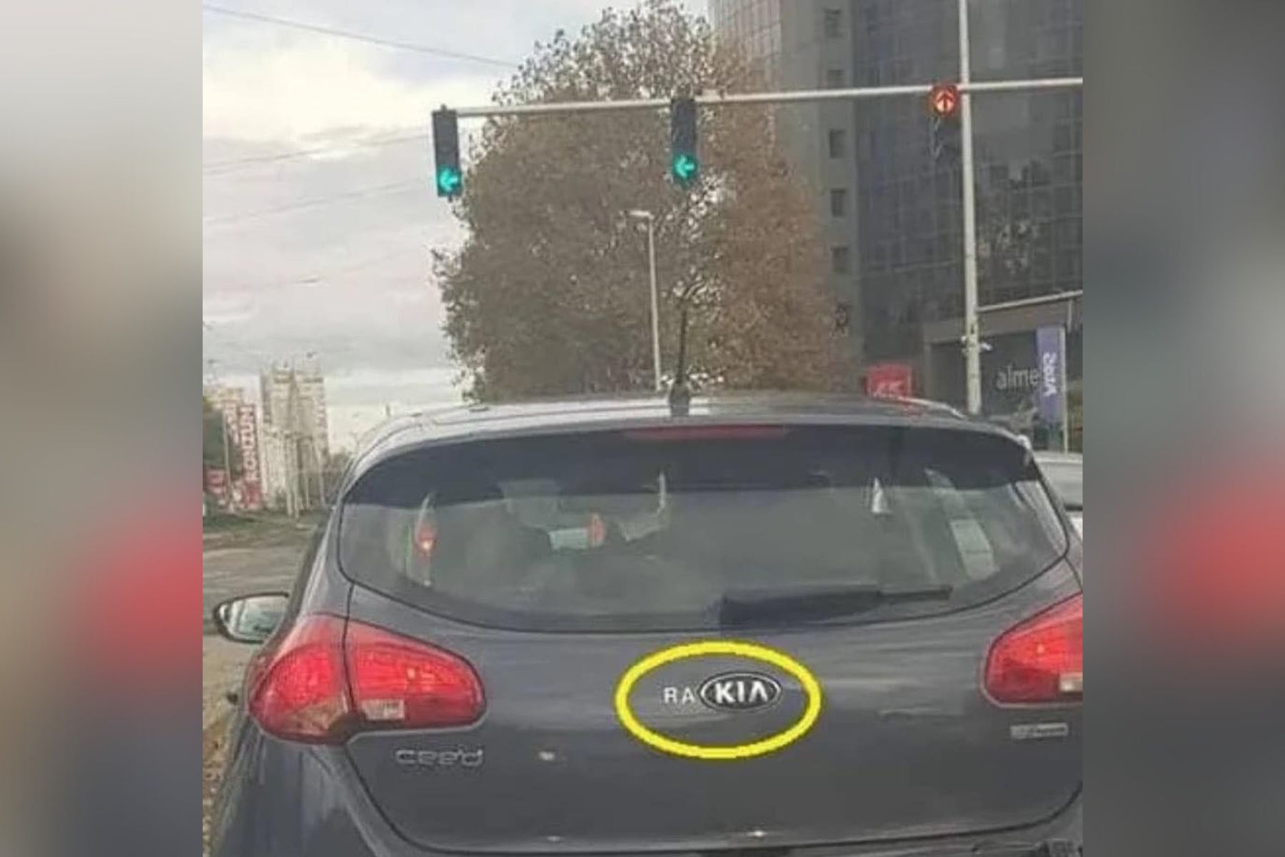 Avtomobil z napisom "rakia" je nasmejal splet