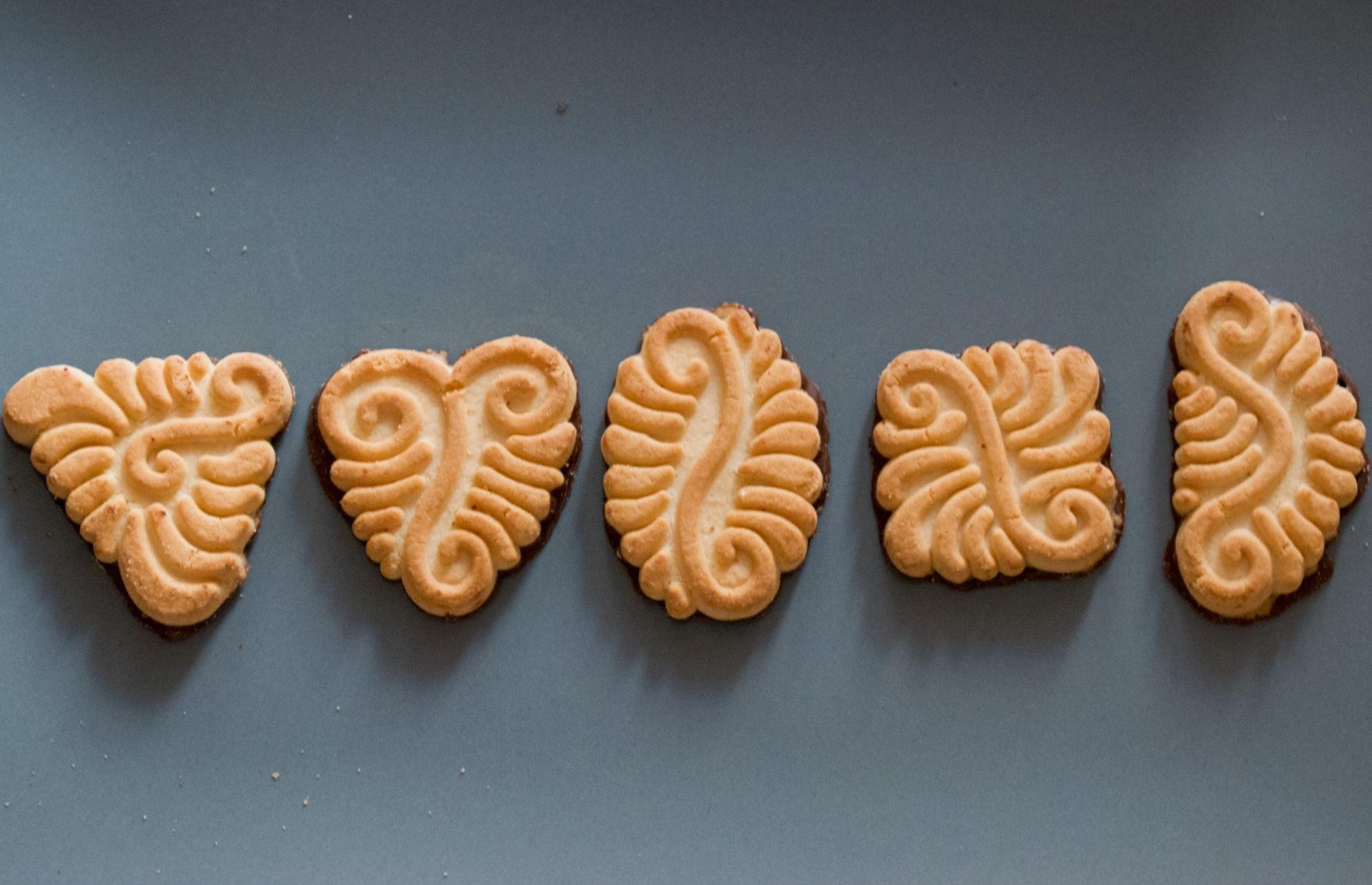 domaćica slartkopedija hr