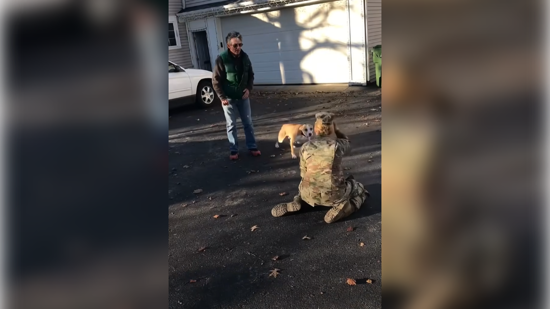 pes ni prepoznal svoje lastnice