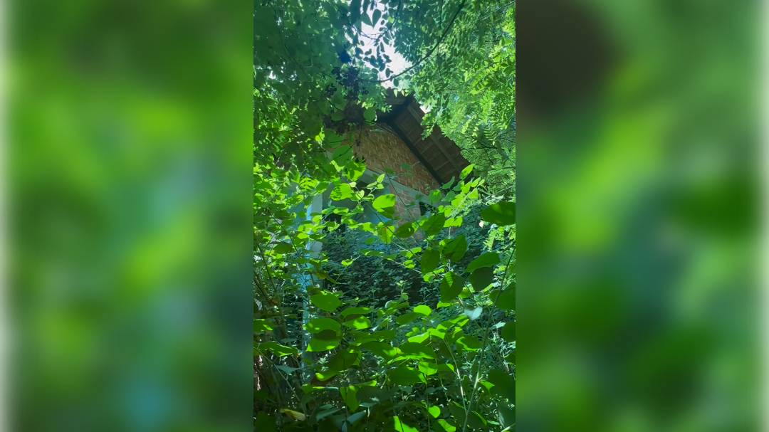 Justus Reid kupil hišo na Balkanu