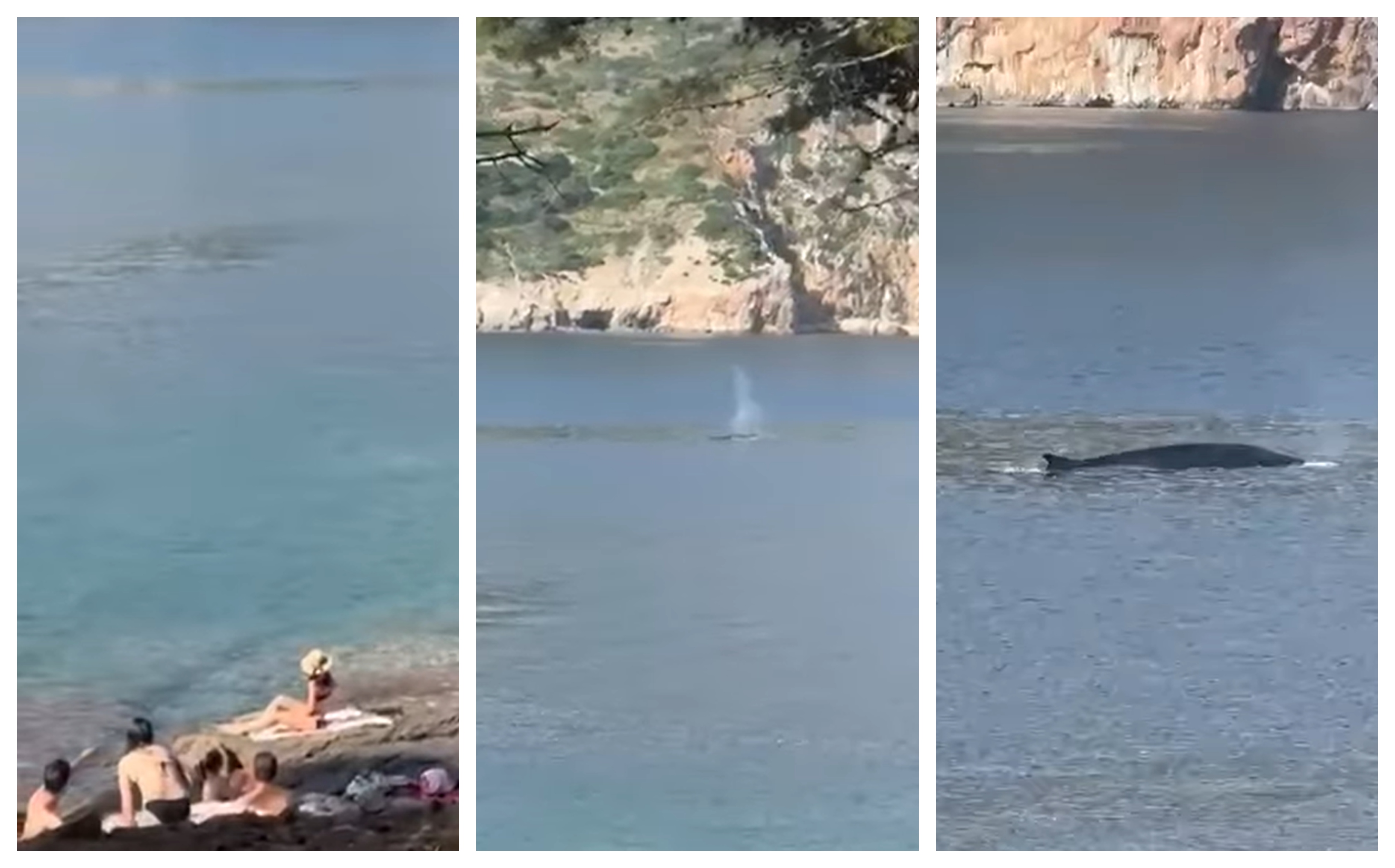 Lokrum Zajem zaslona FACEBOOK