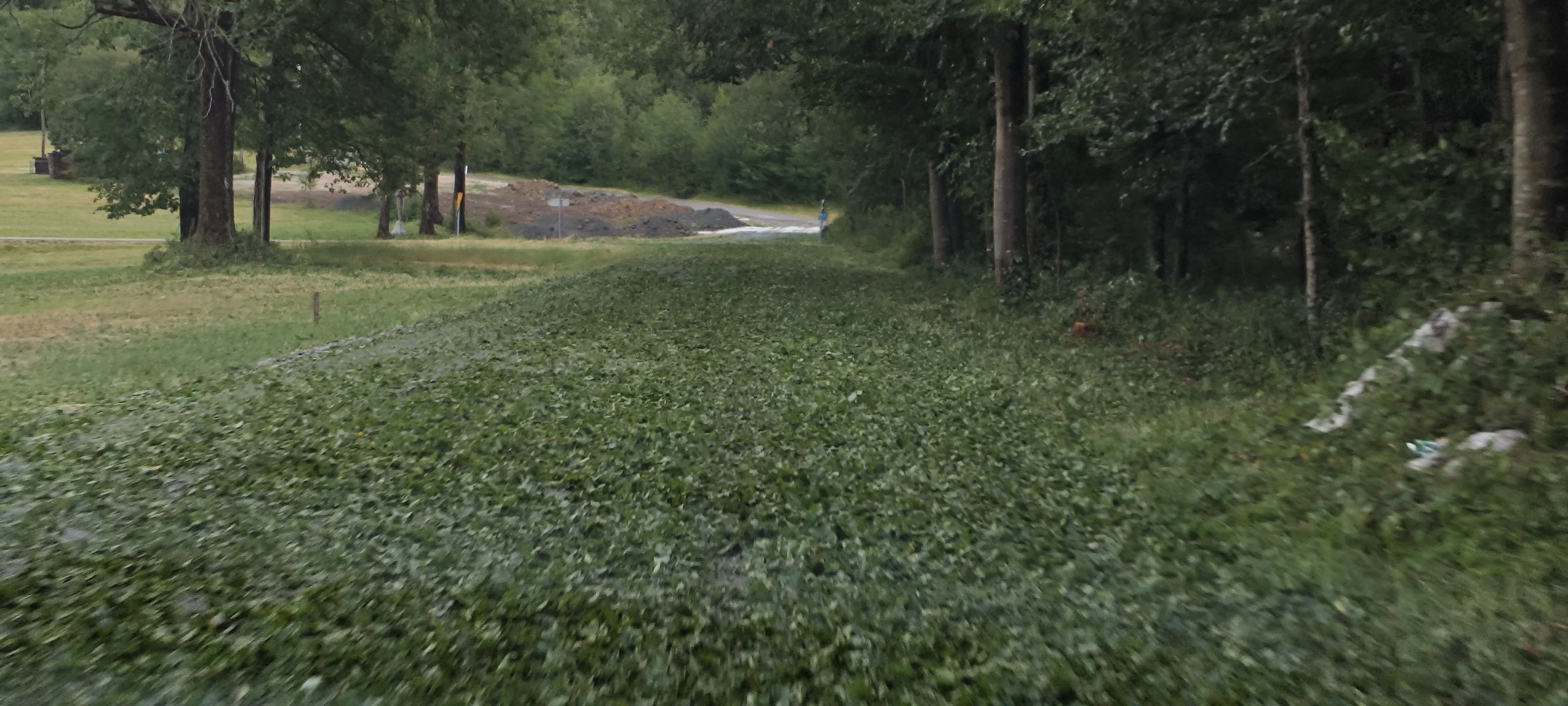 Posledice neurja na Primorskem pri Postojni