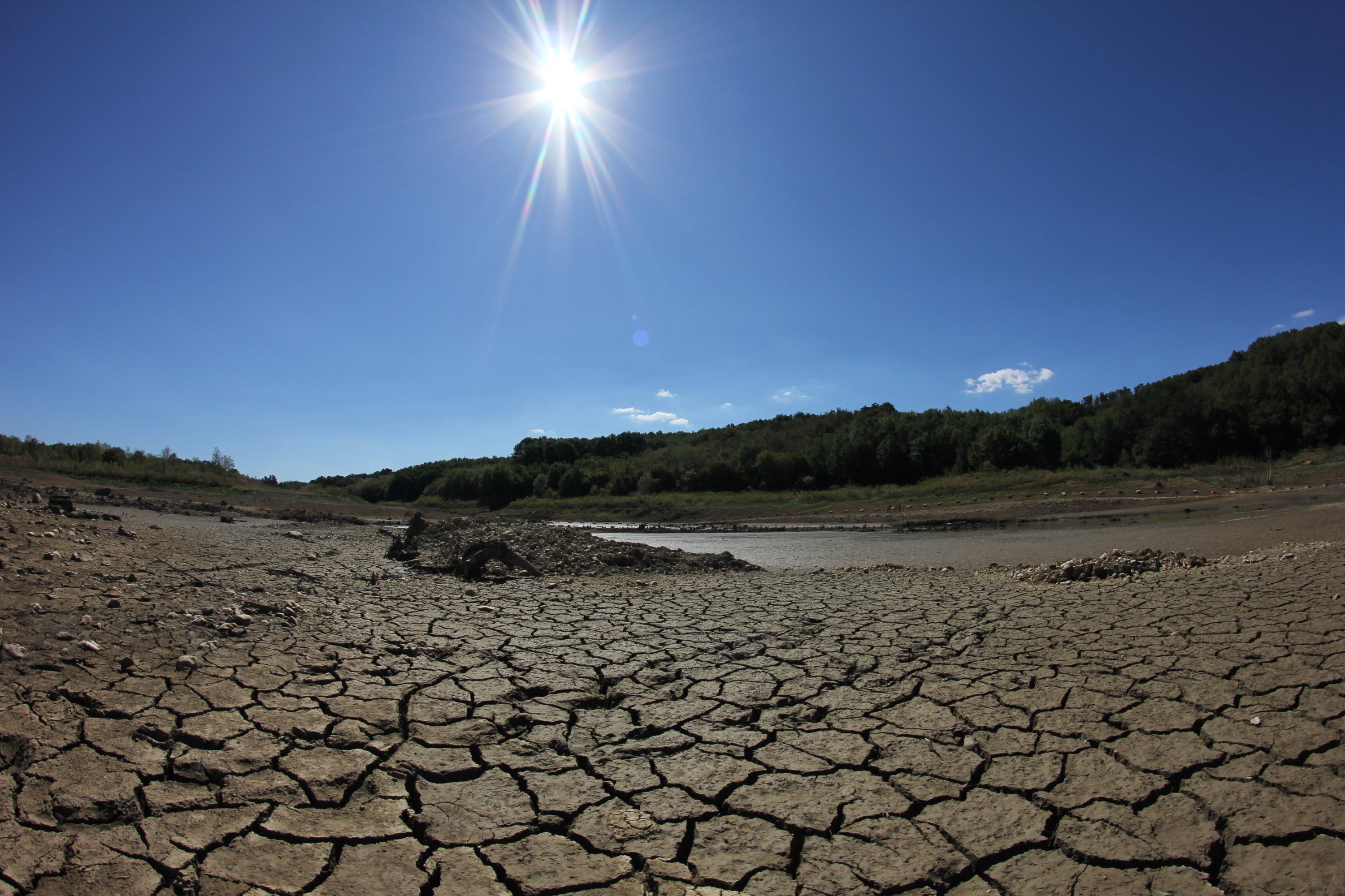 Suša na jezeru Vogršček