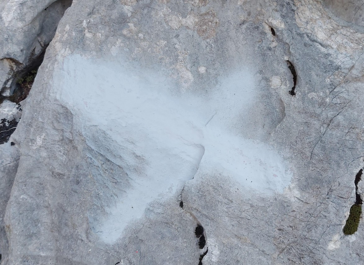 Poškodbe markacij v dolini Vrata