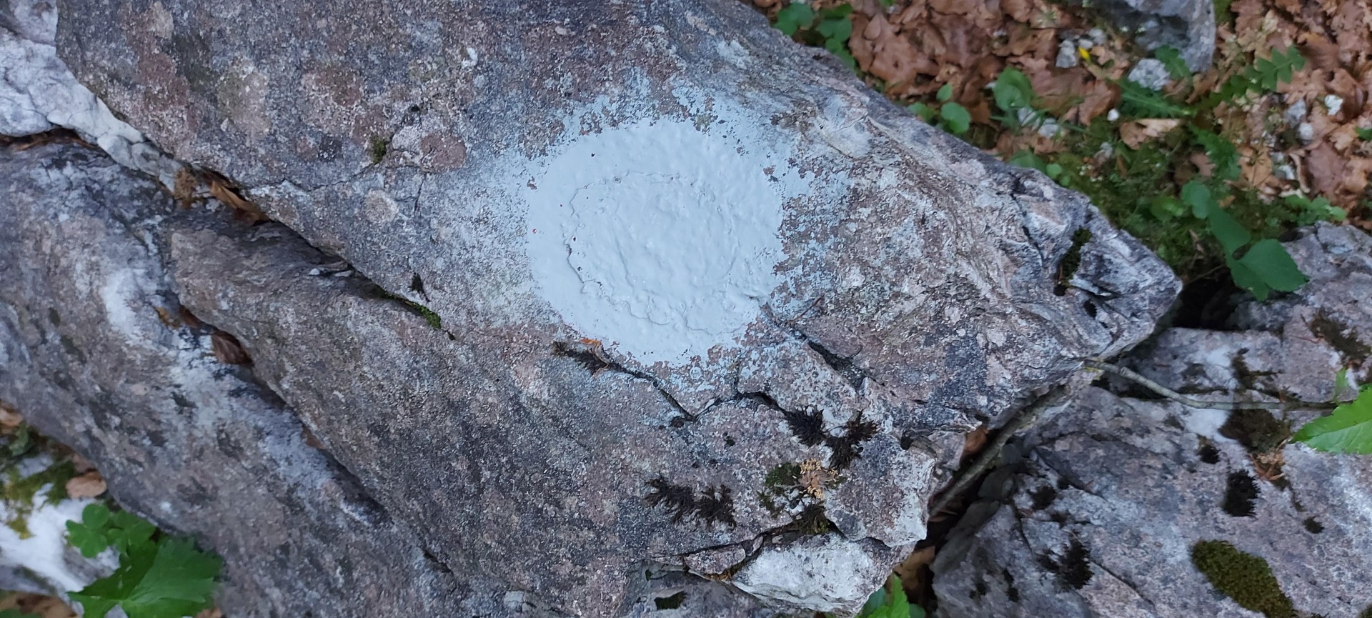 Poškodbe markacij v dolini Vrata