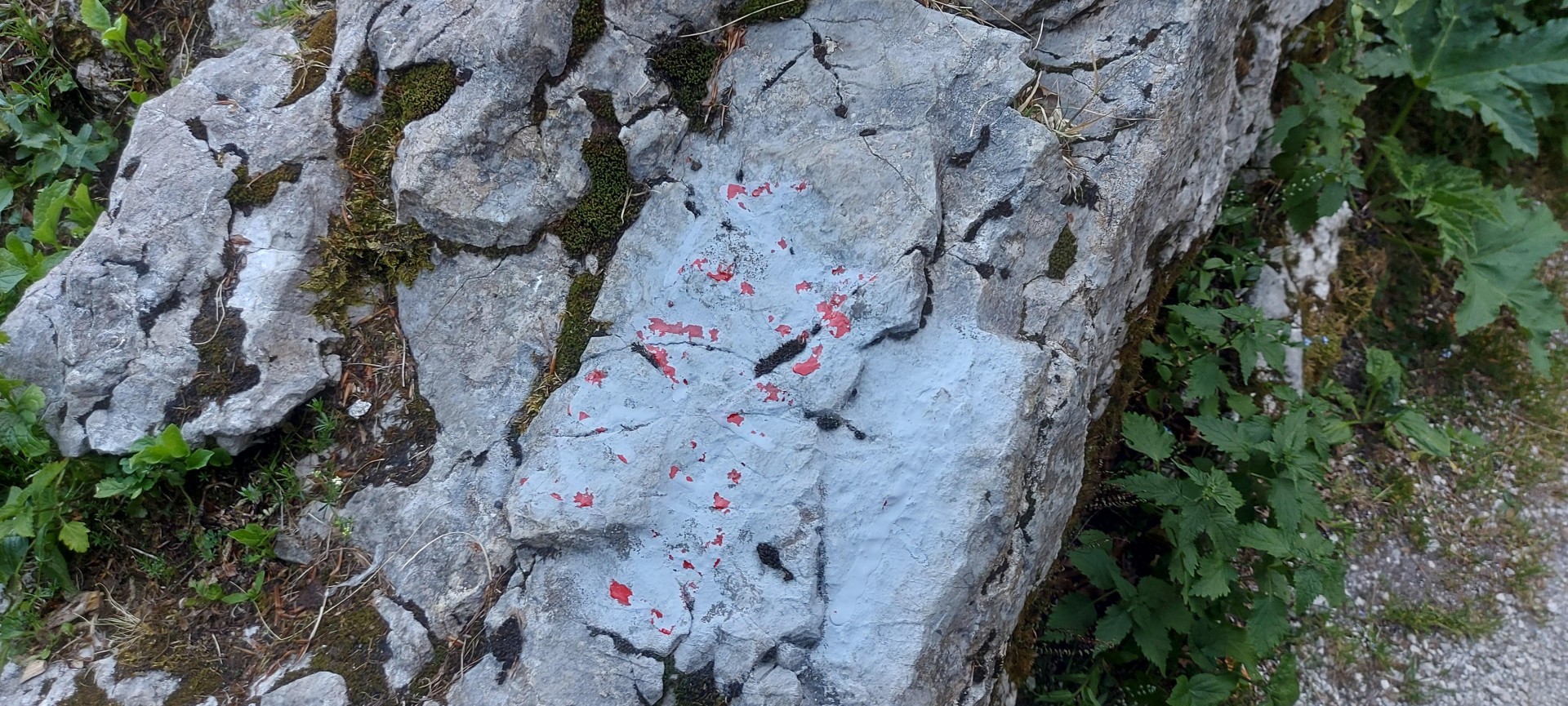 Poškodbe markacij v dolini Vrata