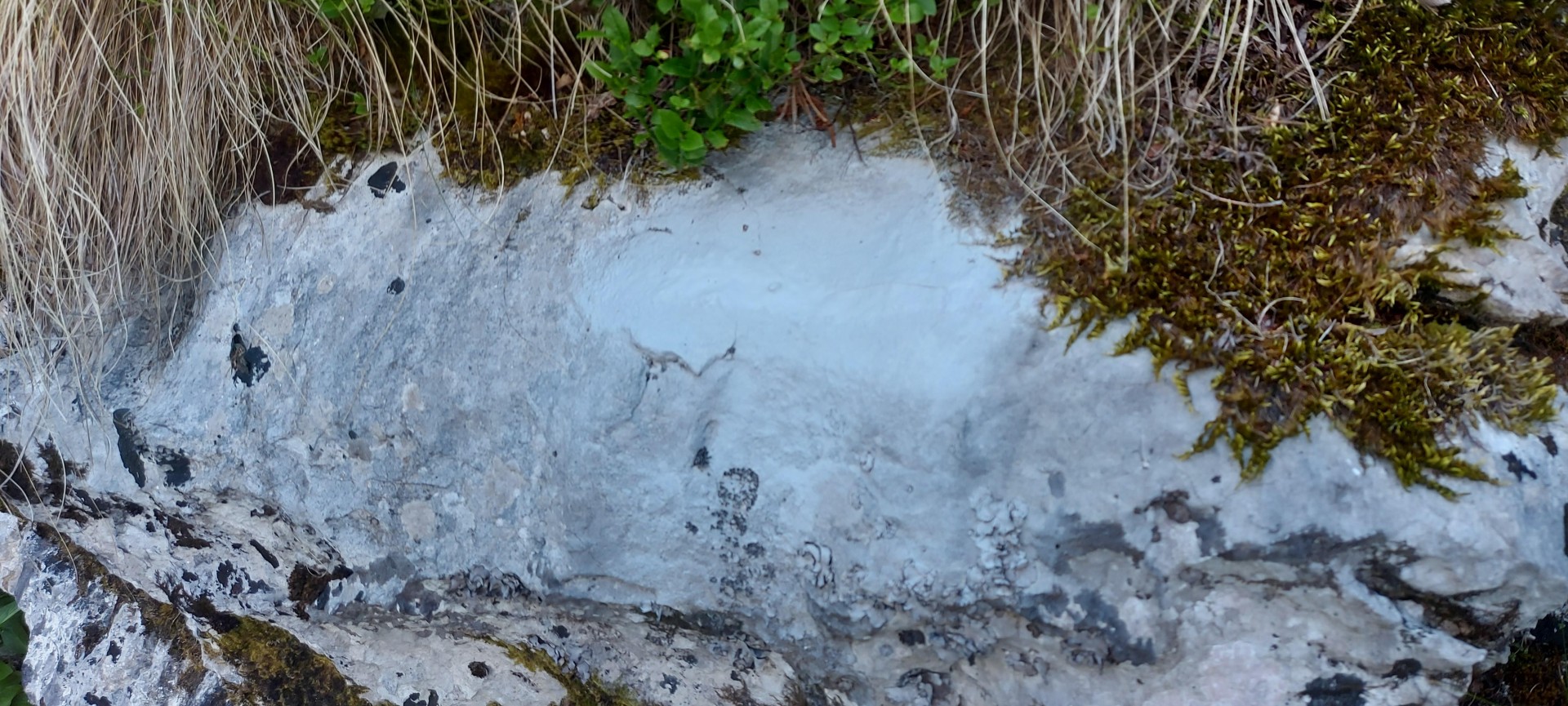 Poškodbe markacij v dolini Vrata