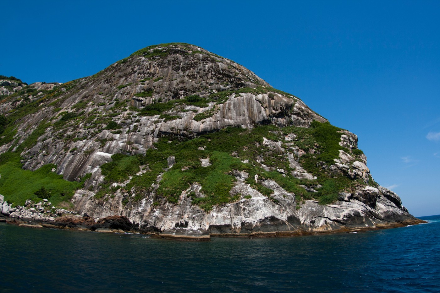 Ilha da Queimada Grande