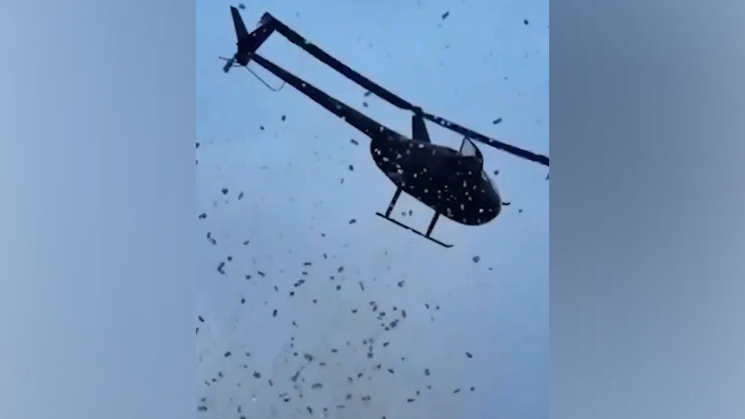 denar z neba Zajem zaslona X a