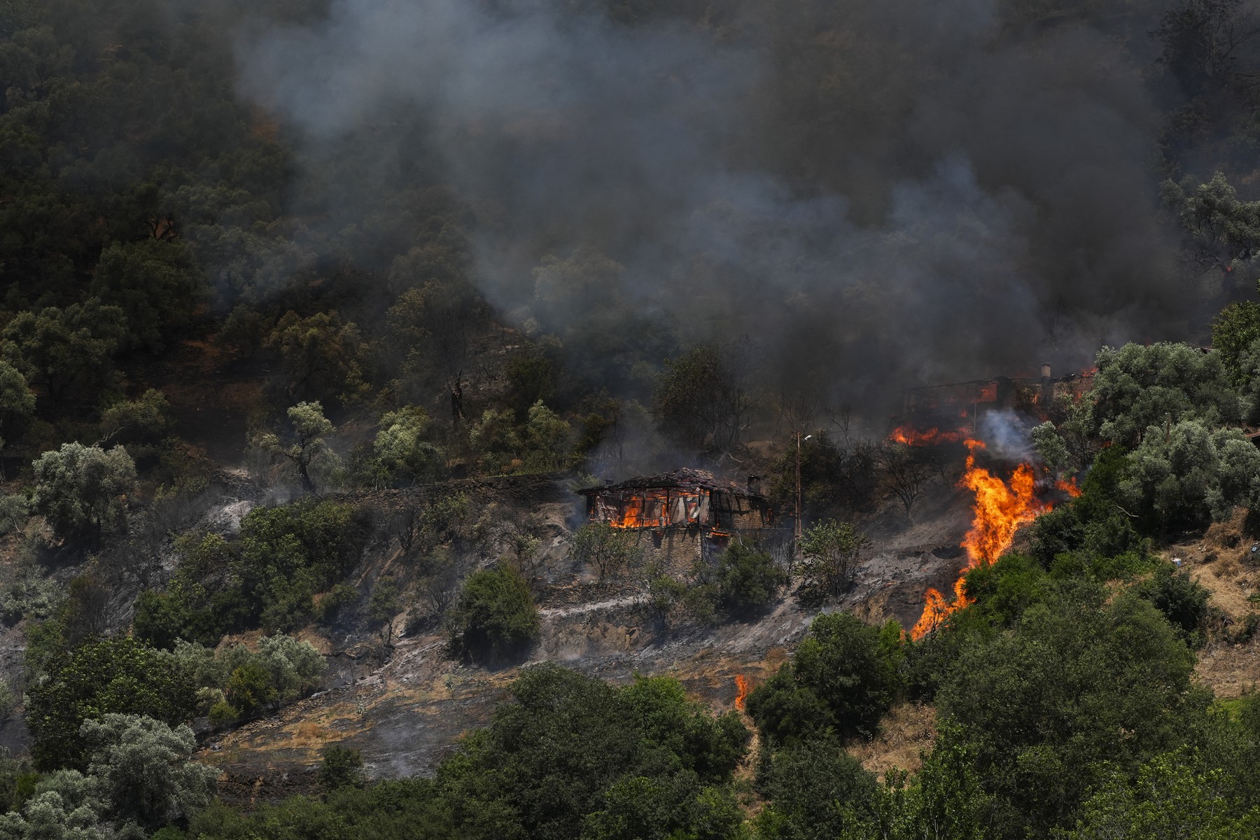 V turškem okrožju Odemis divja gozdni požar