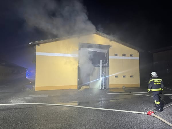 Požar na farmi piščancev