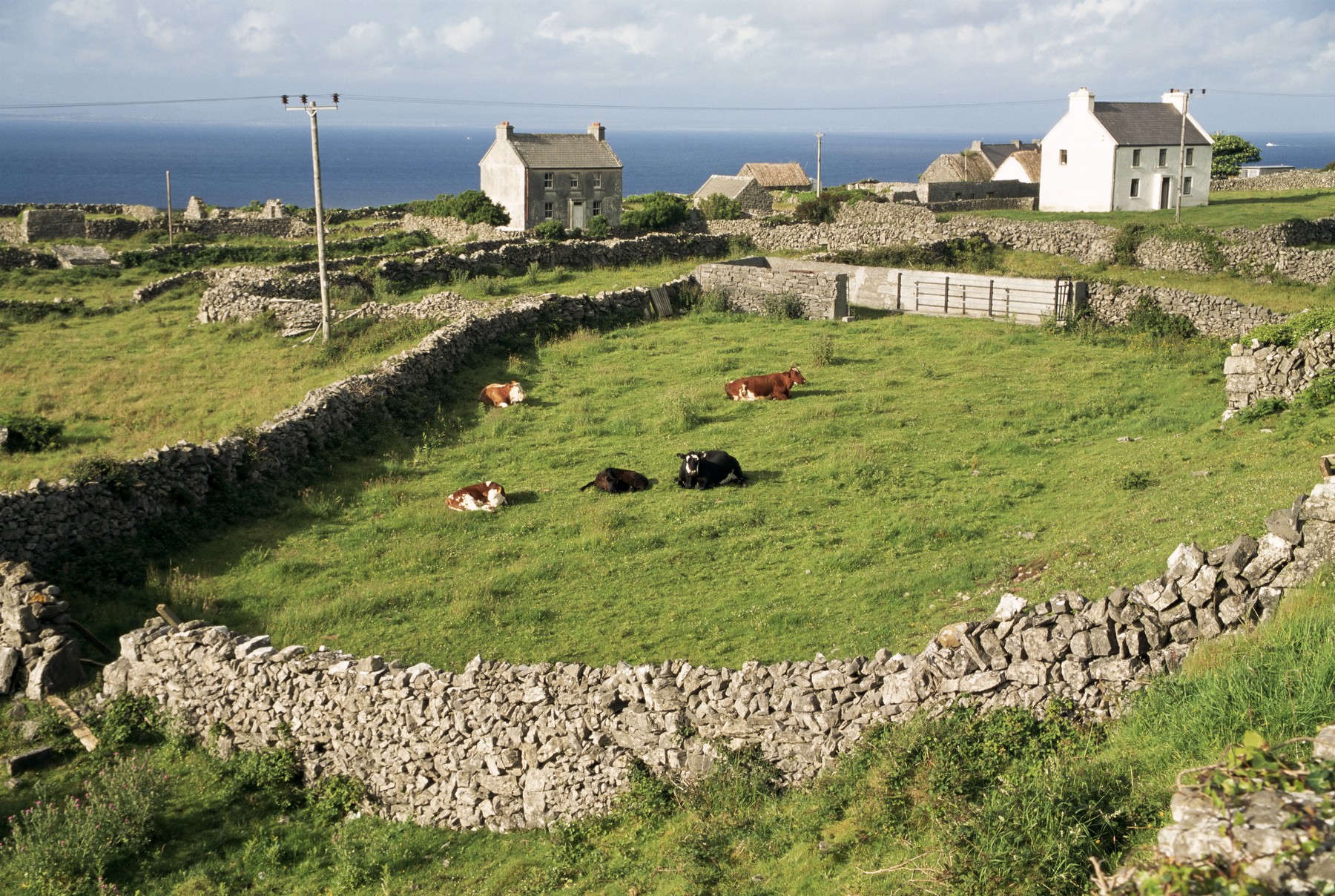 Irski otok Inishmore