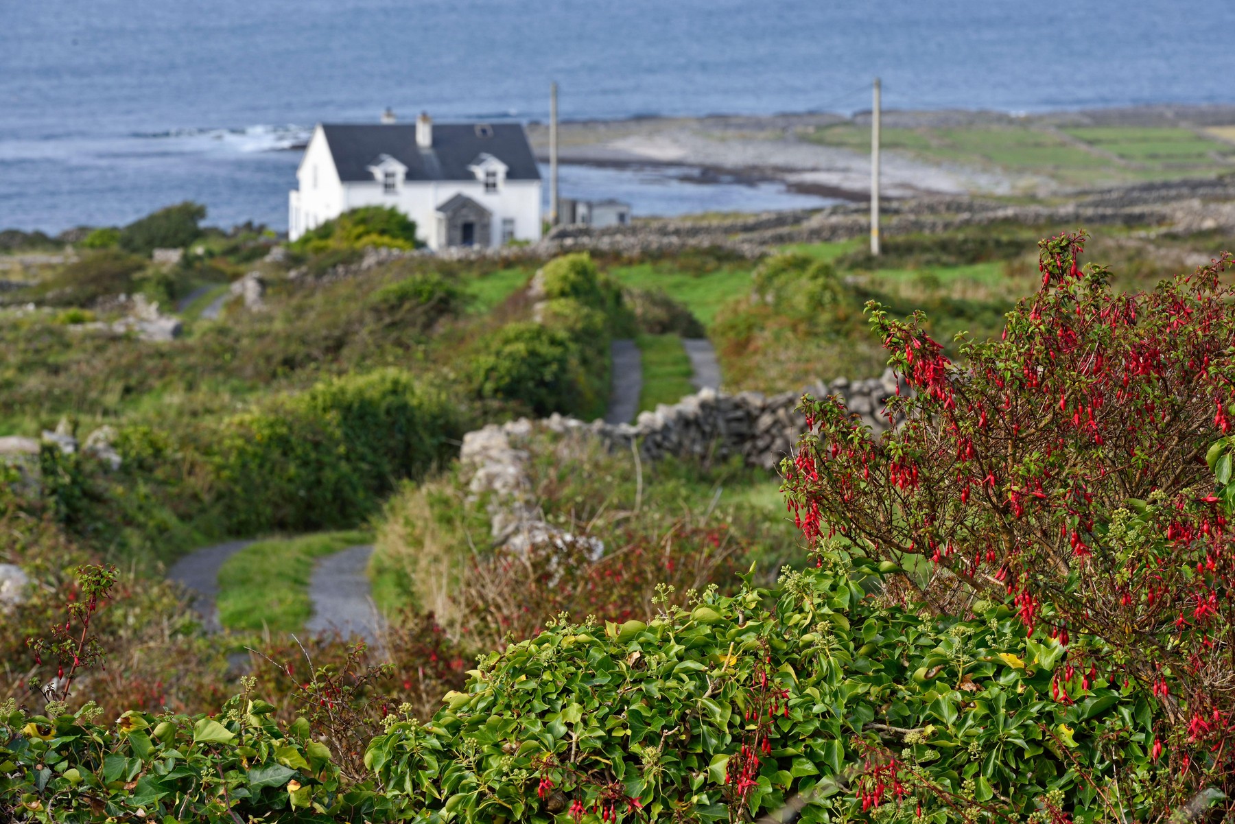 Irski otok Inishmore