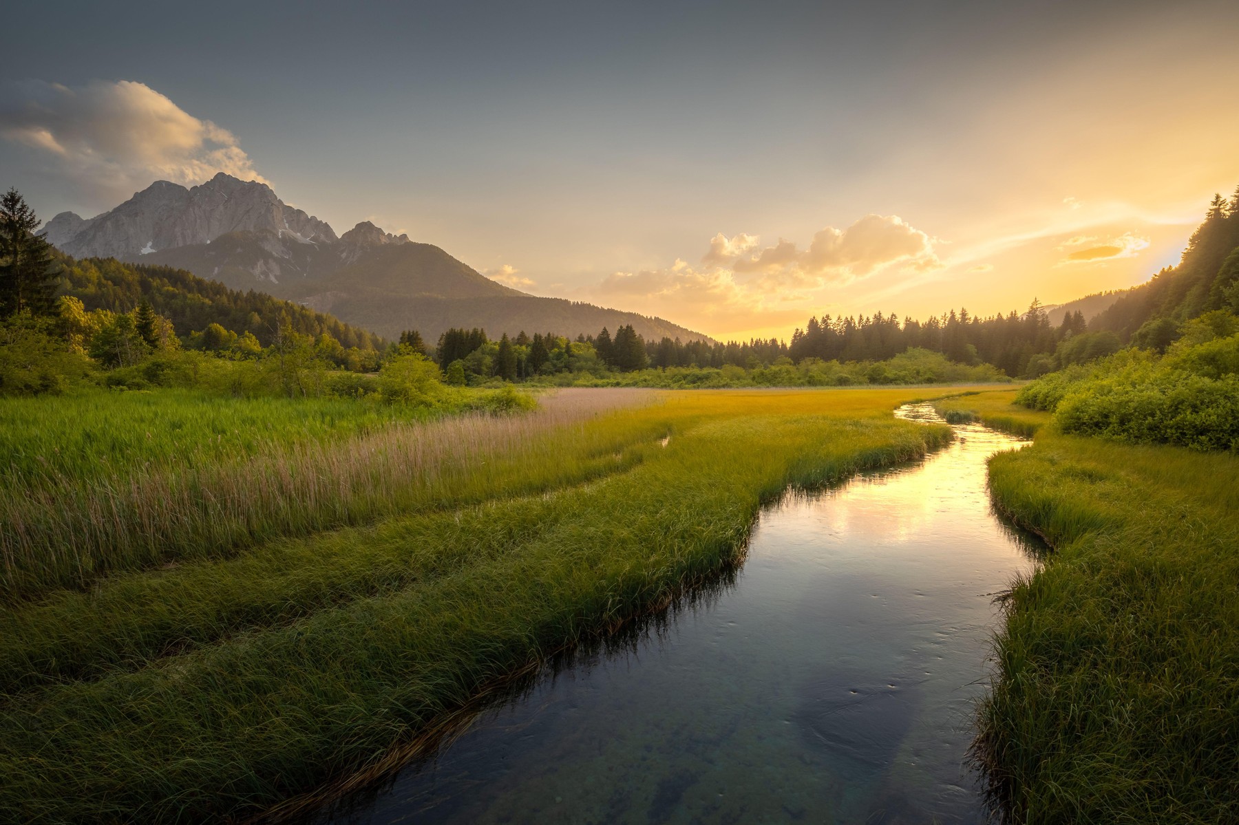 Zelenci, Kranjska Gora