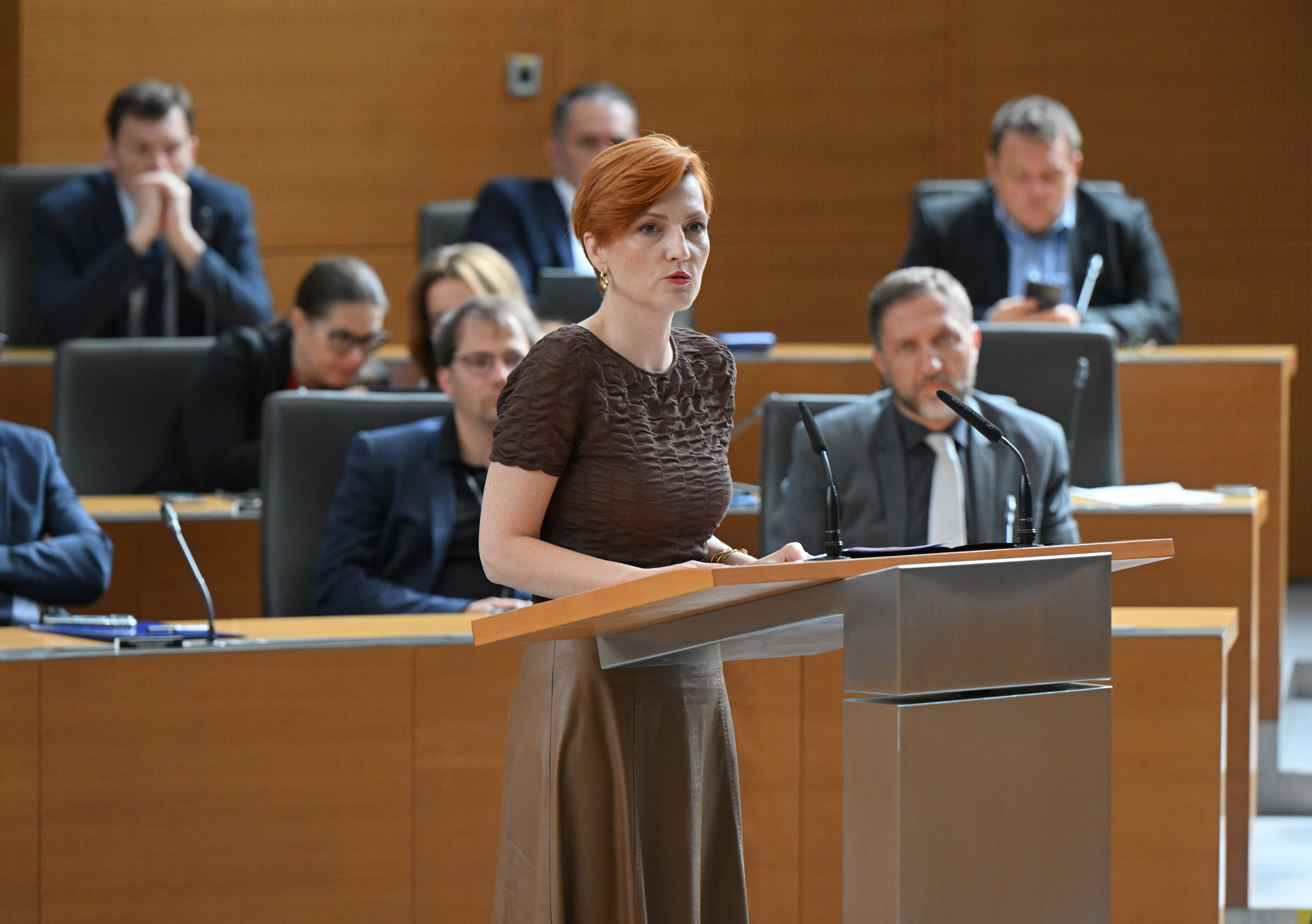 Interpelacije ministrice za kulturo Aste Vrečko