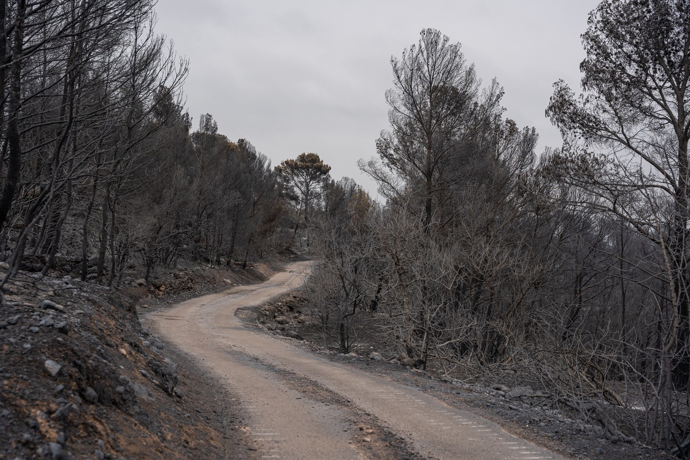 Posledice požara na jugu Katalonije
