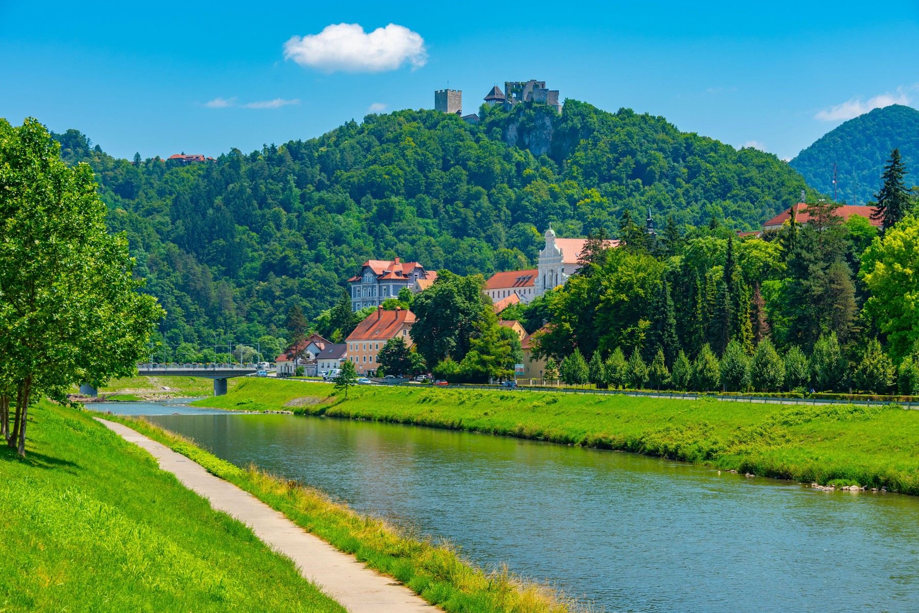 Reka Savinja v Celju