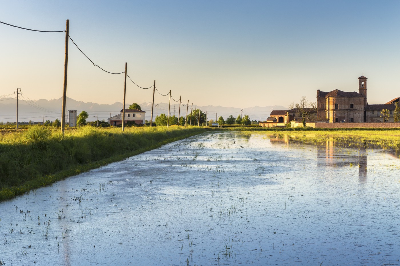 Riževo polje na severu Italije