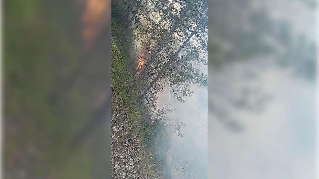 Požar nad Žerjavom