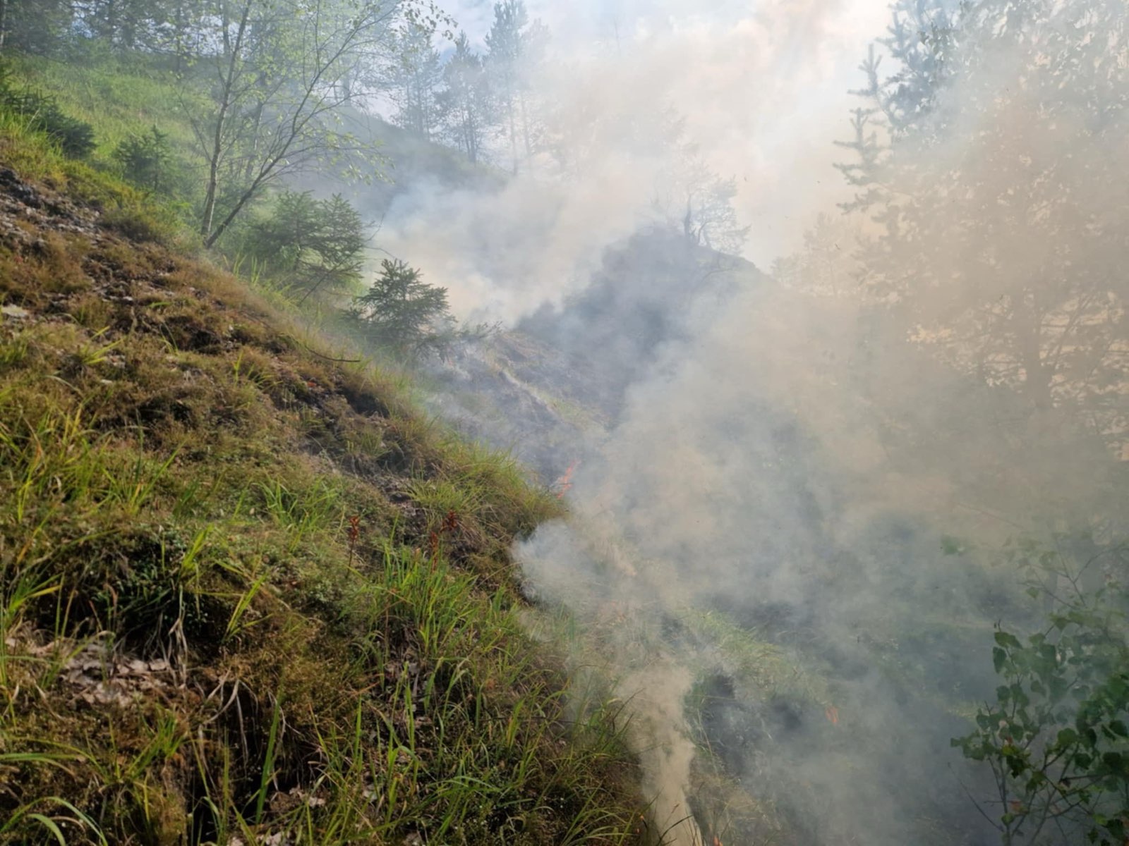 Požar nad Žerjavom