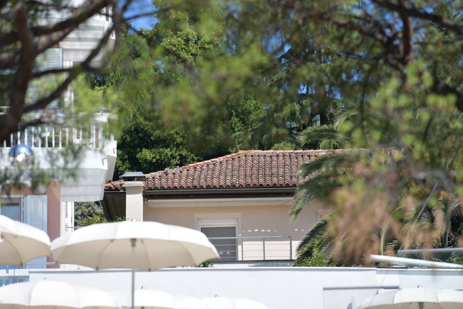 Vila v Portorožu, Dodik in Đurić