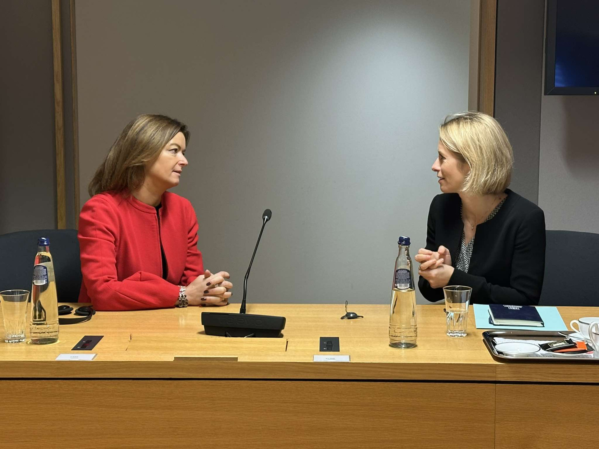 Tanja Fajon in Kaja Kallas