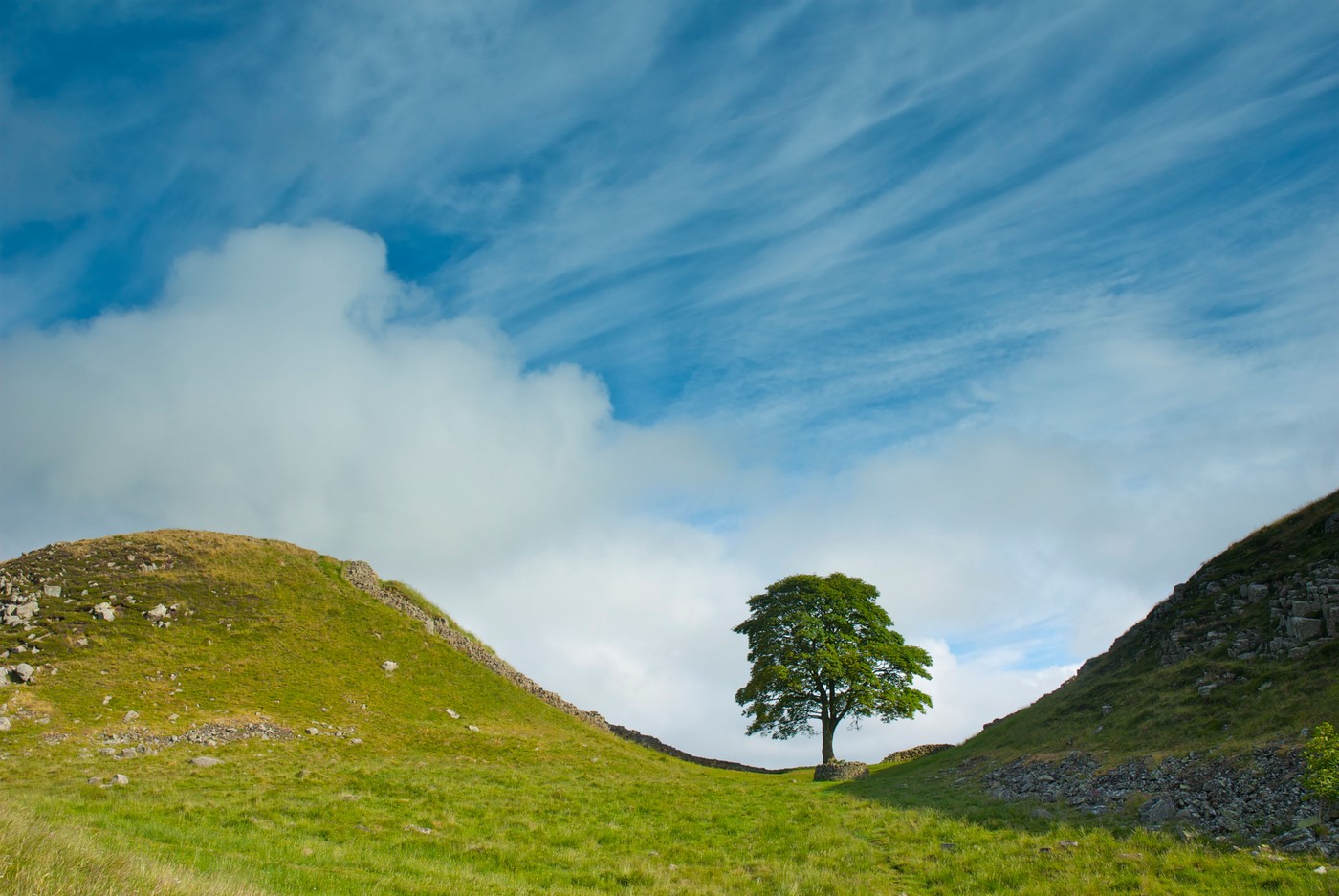 Sycamore Gap
