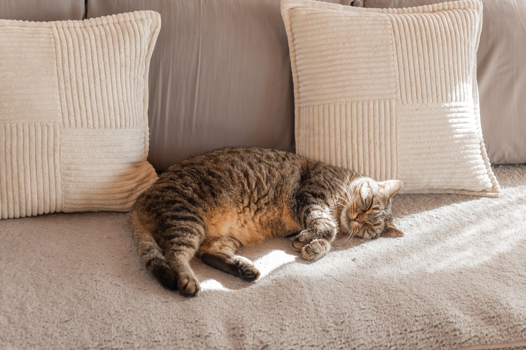 profimedia-0976816308