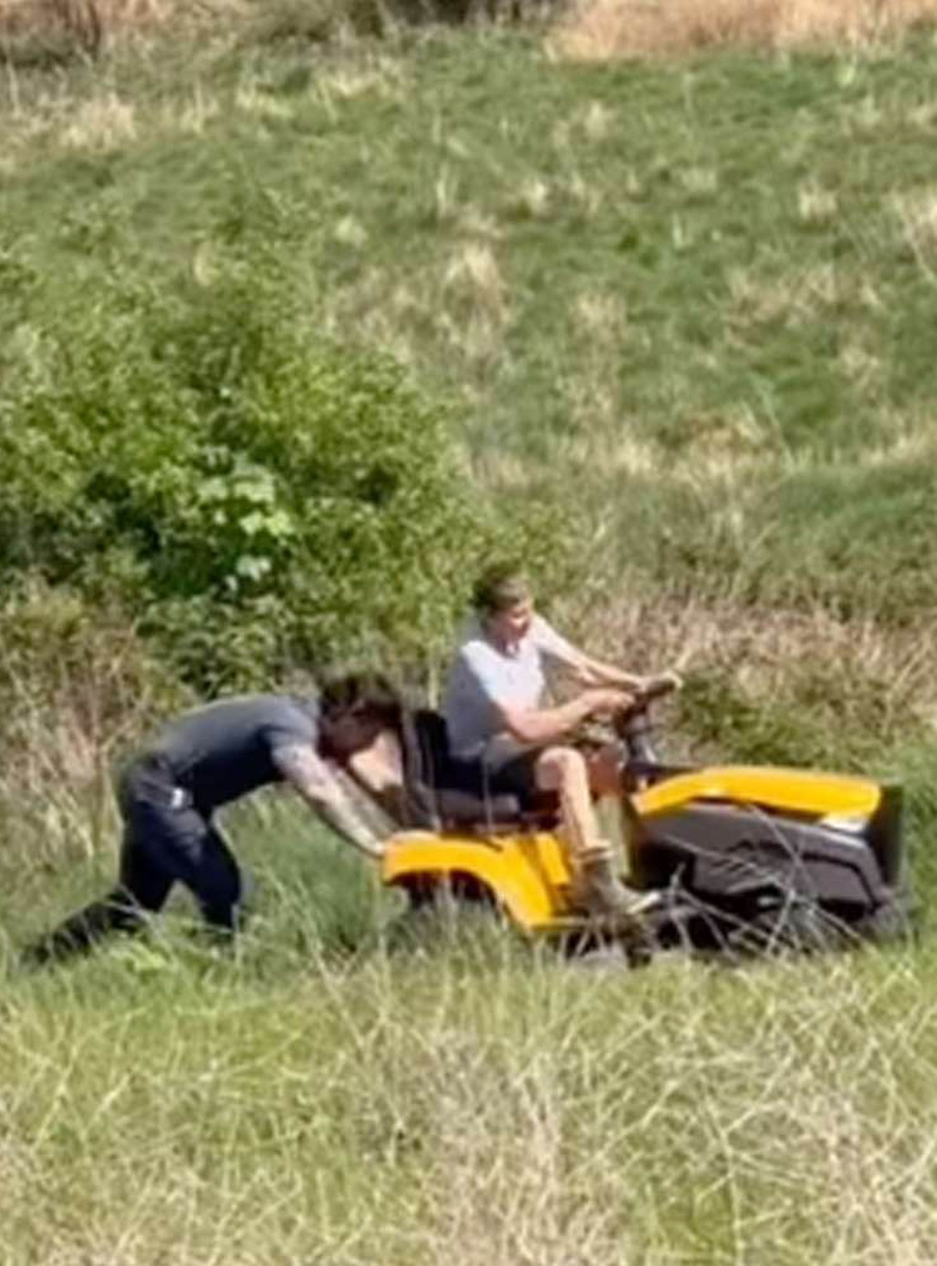 Ellen de Generes ima težave s košnjo trave.