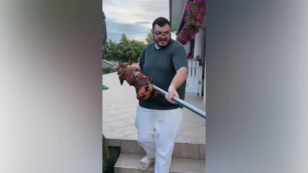 odojek Foto Zajem zaslona TIKTOK