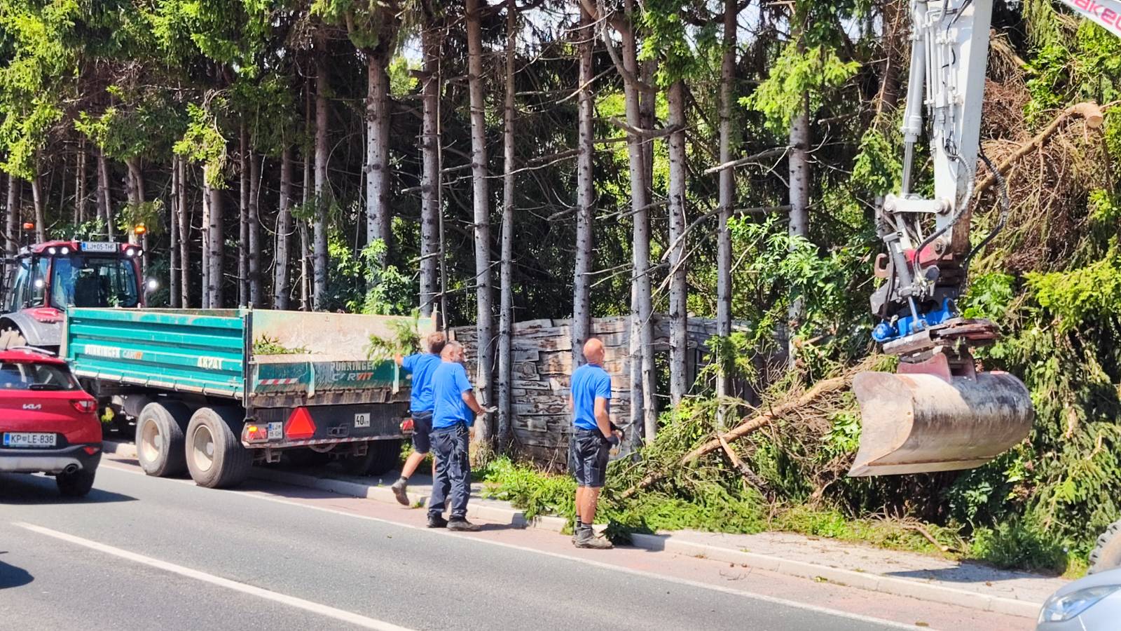 Podrto drevje na območju Brezovice
