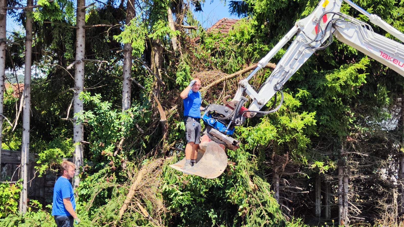 Podrto drevje na območju Brezovice