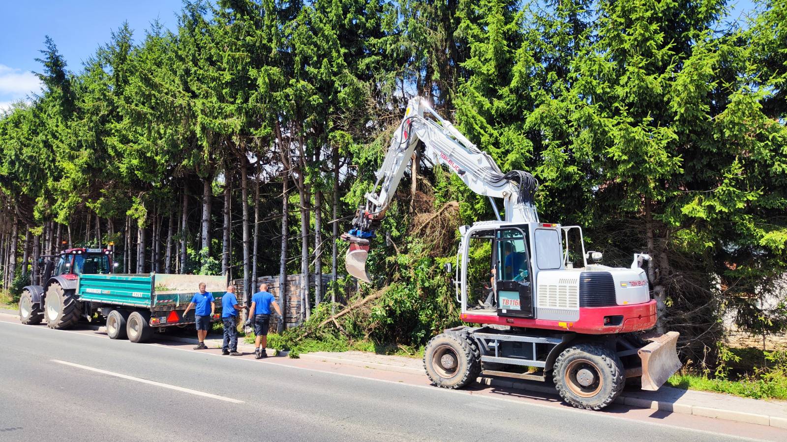 Podrto drevje na območju Brezovice