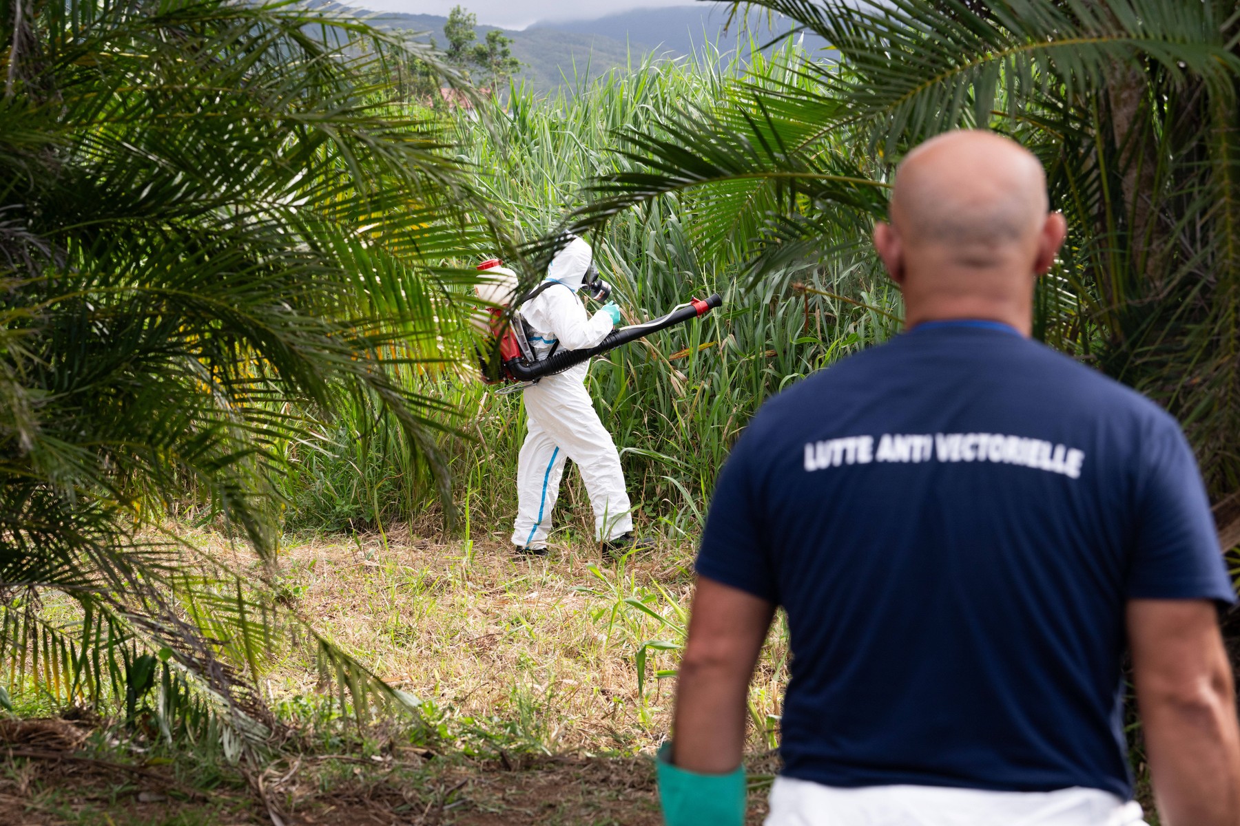 profimedia-0992814326