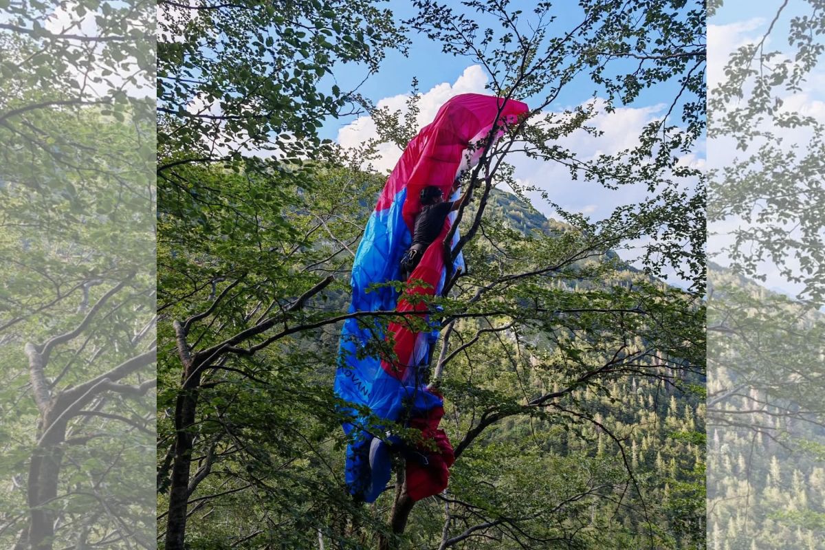 Jadralno padalo obtičalo na drevesu
