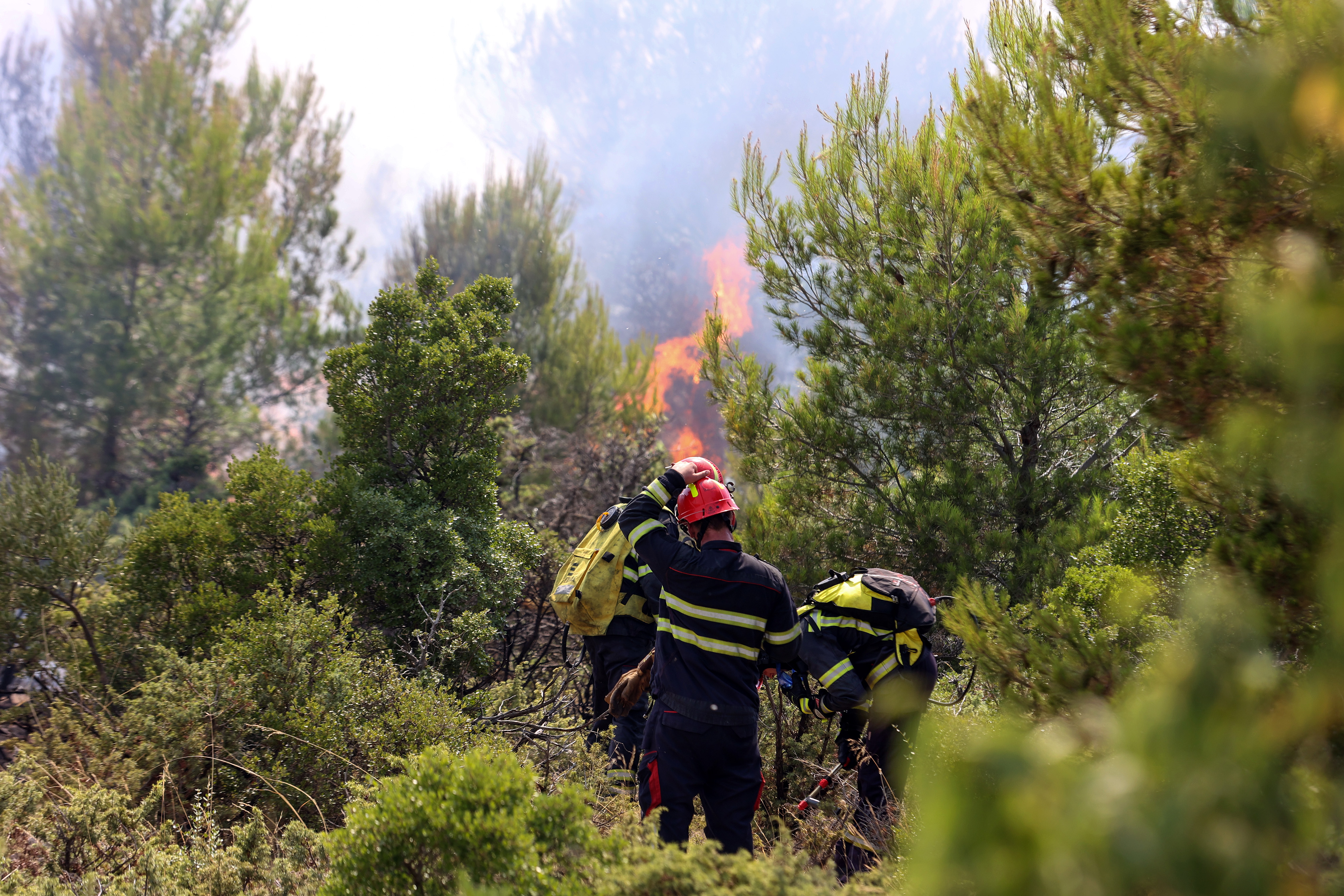 Požar v okolici Šibenika