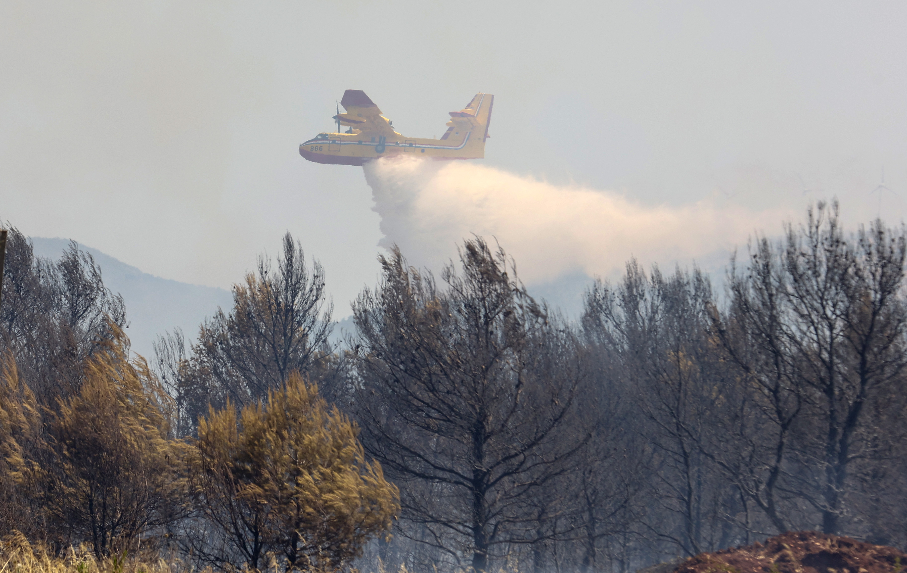 Požar v okolici Šibenika
