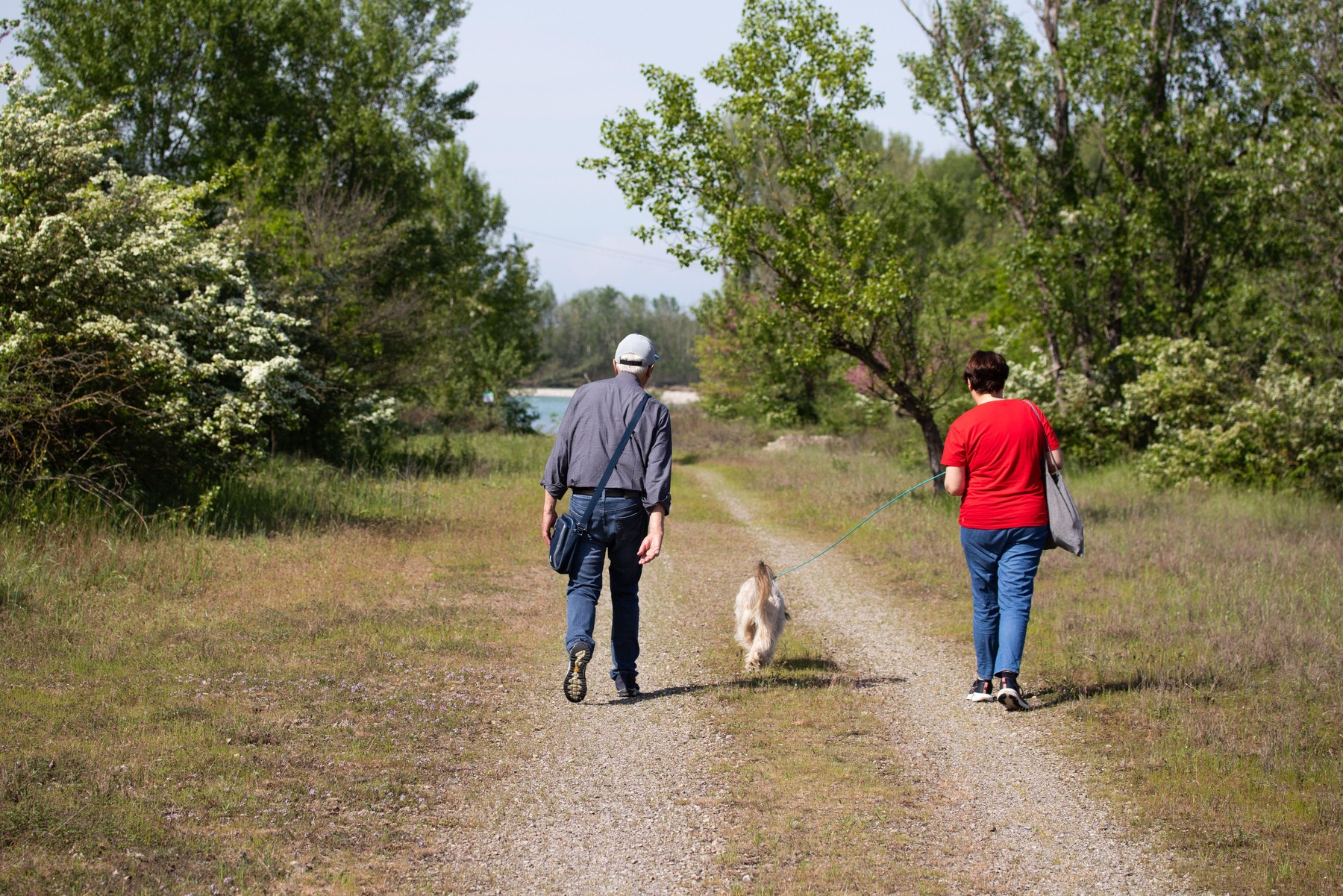 Starejši osebi se sprehajata s psom