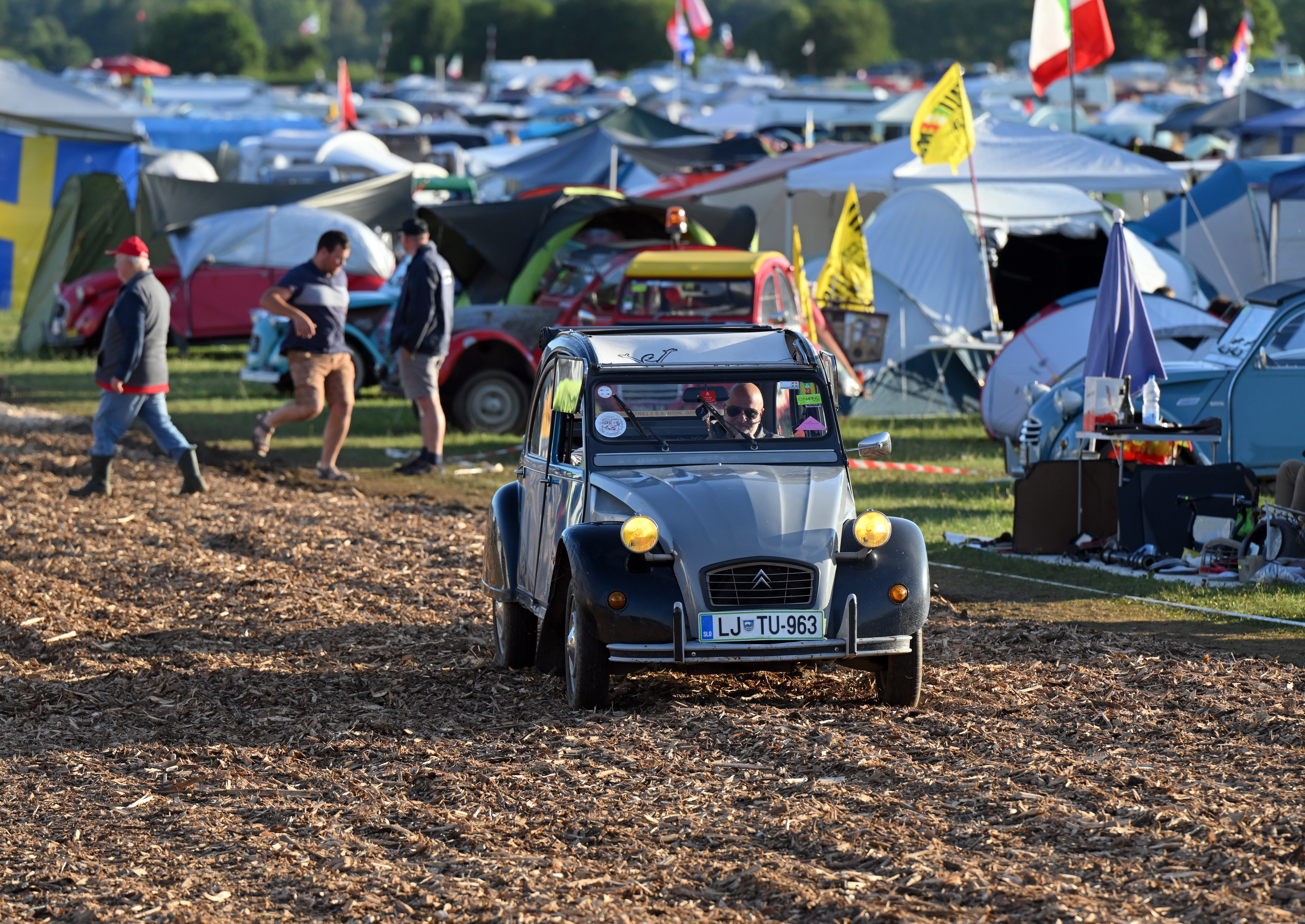 Srečanje ljubiteljev spačkov