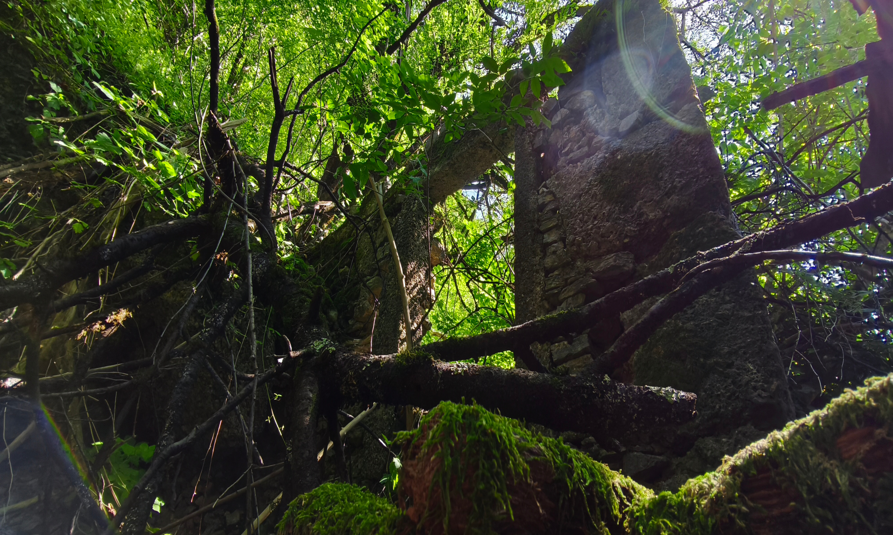 Zapuščena vas Lisec